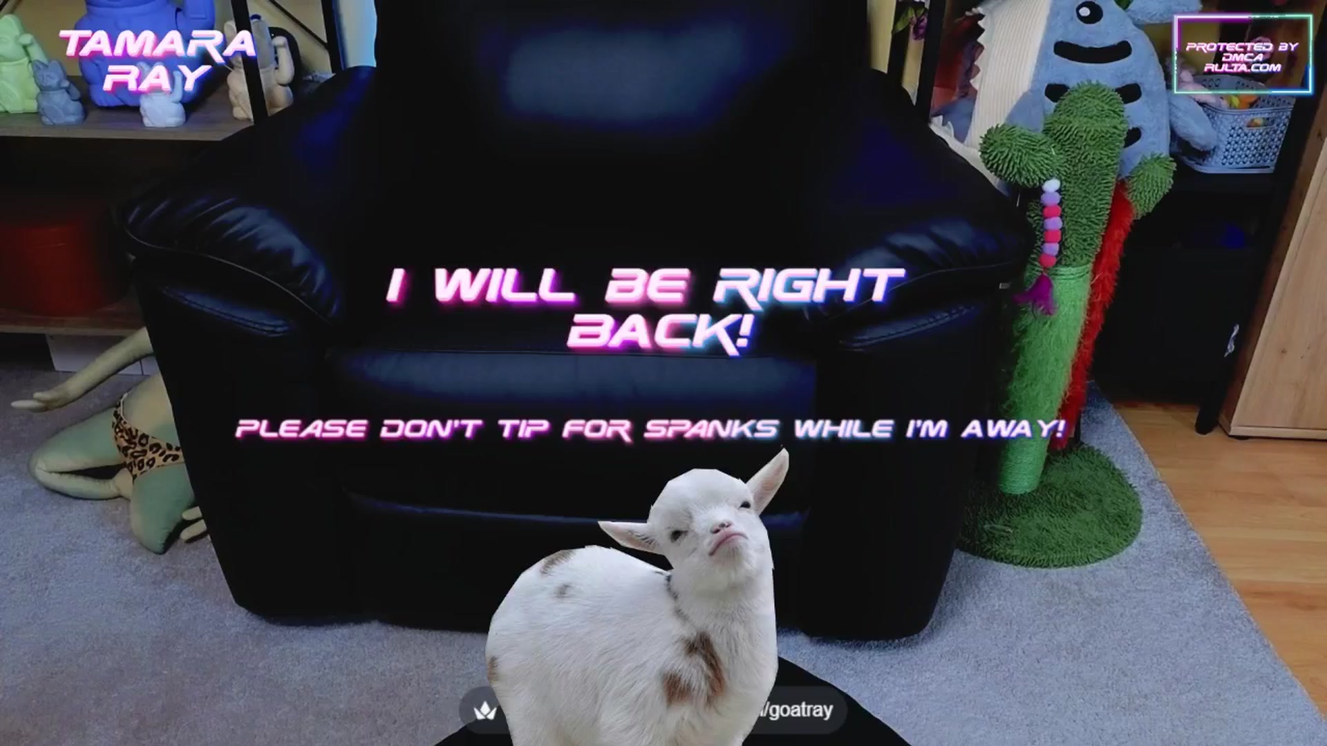 Gallery image thumbnail from TamaraRay's myfreecams stream on, 05/28/2025, 04:46 image 9 of 20