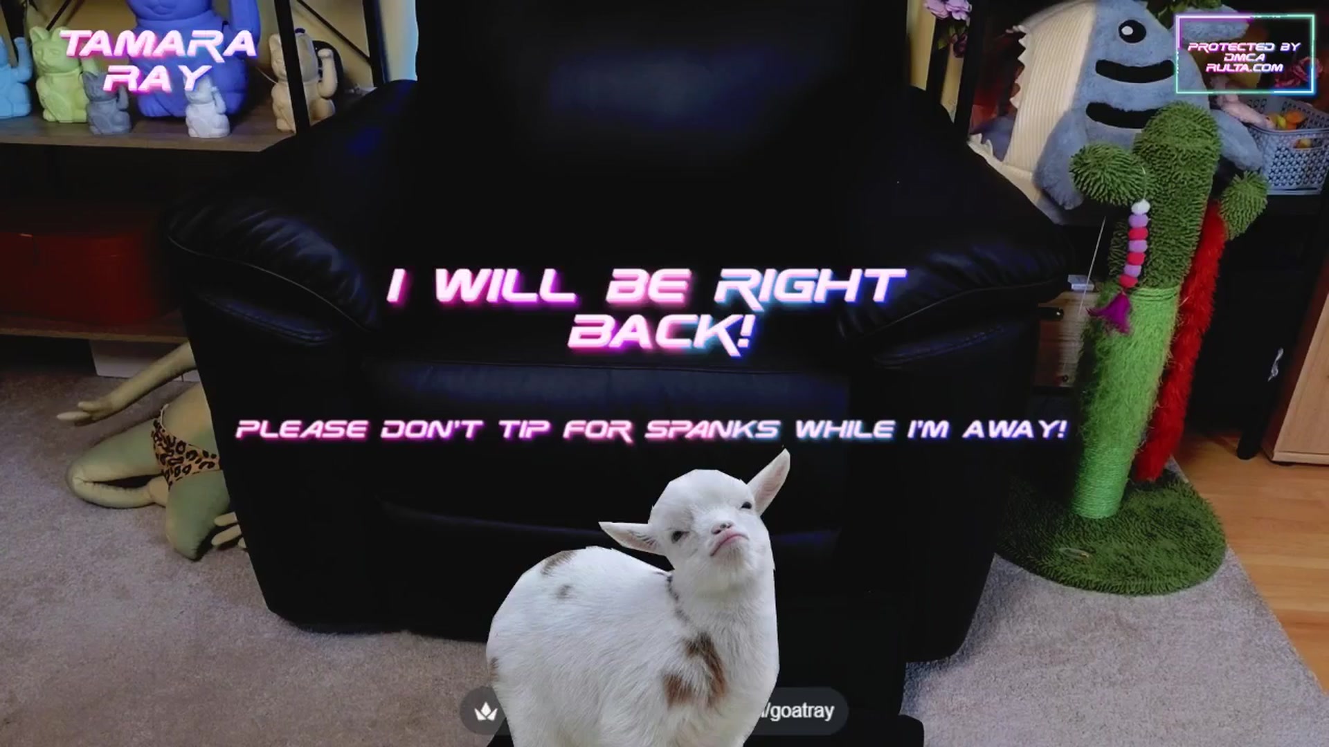 Gallery image thumbnail from TamaraRay's myfreecams stream on, 05/29/2025, 08:08 image 7 of 20