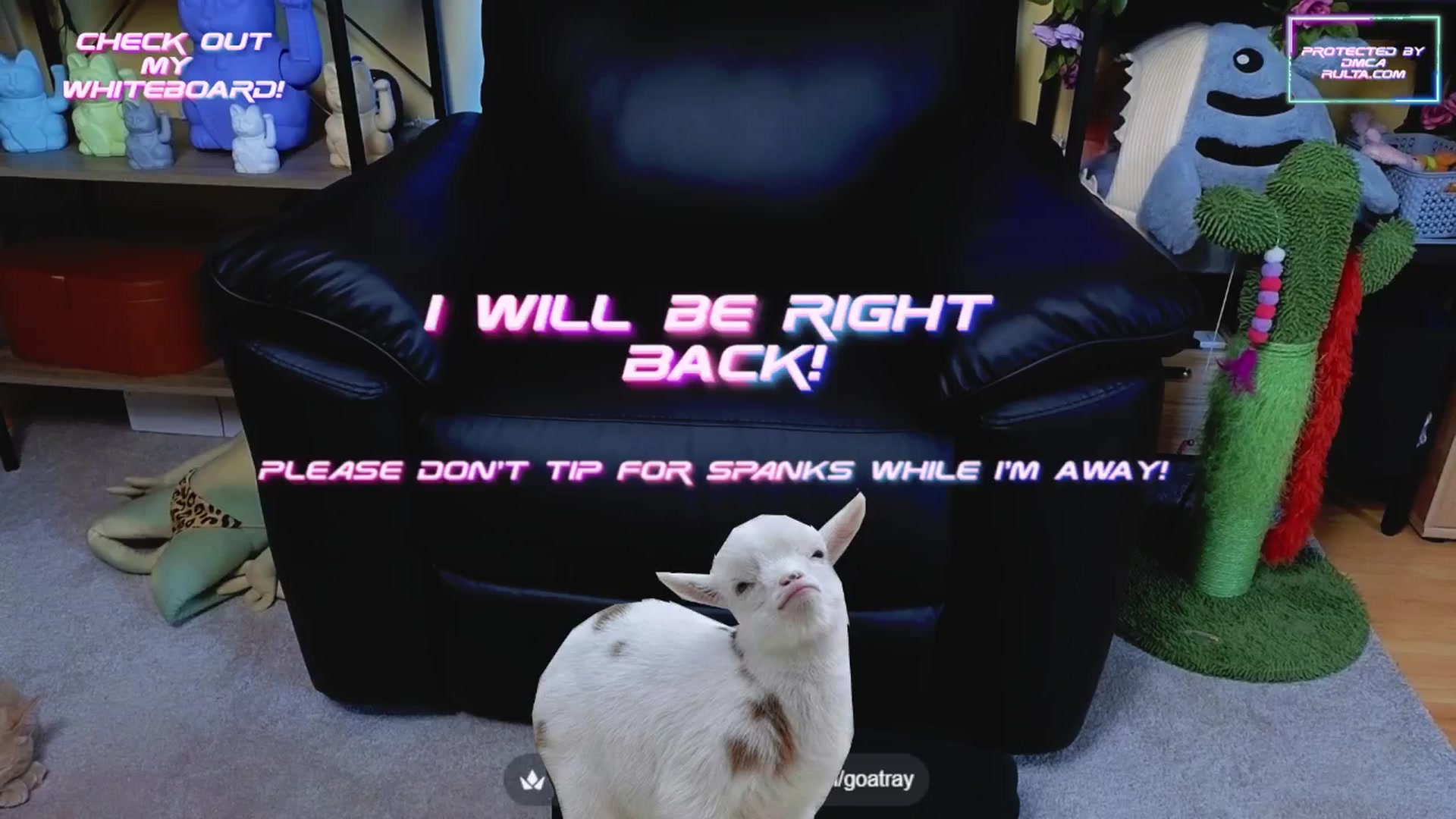 Gallery image thumbnail from TamaraRay's myfreecams stream on, 05/30/2025, 05:40 image 5 of 20