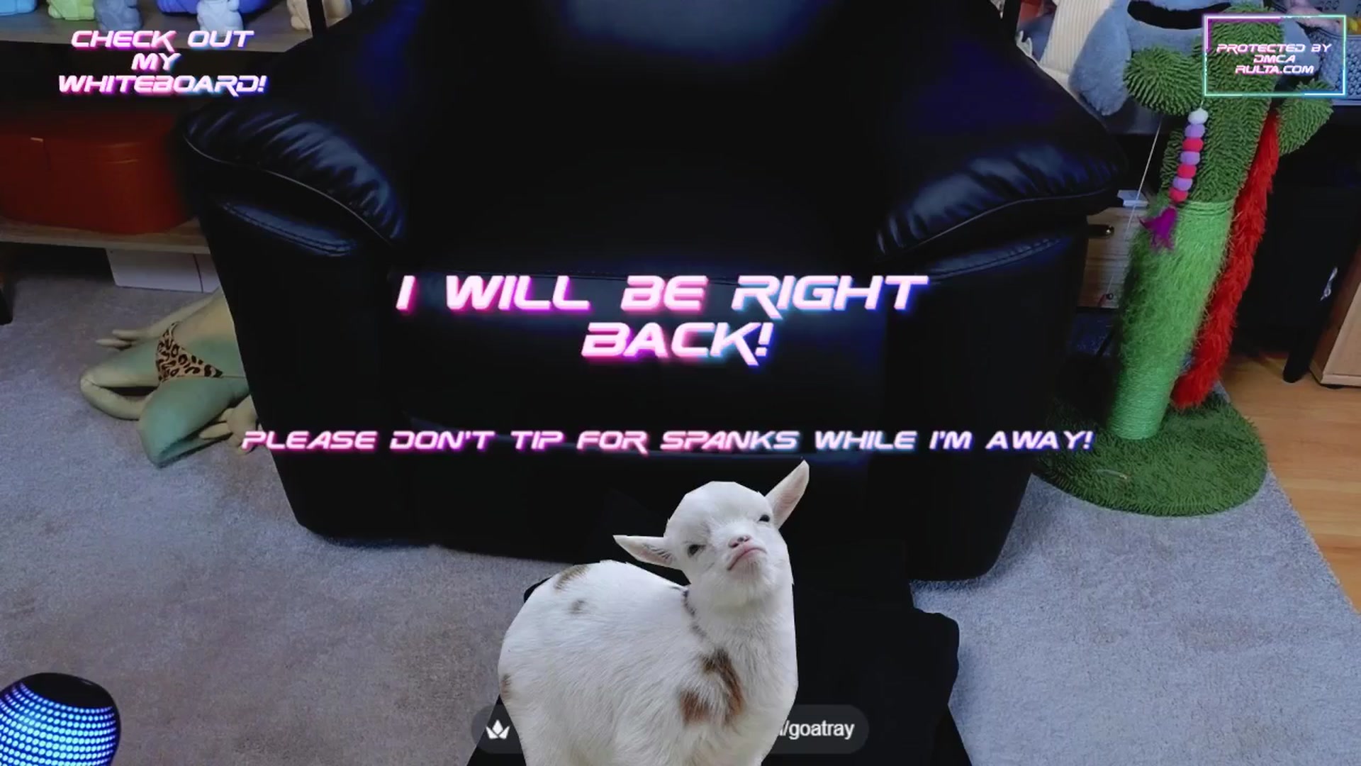 Gallery image thumbnail from TamaraRay's myfreecams stream on, 05/30/2025, 05:40 image 10 of 20