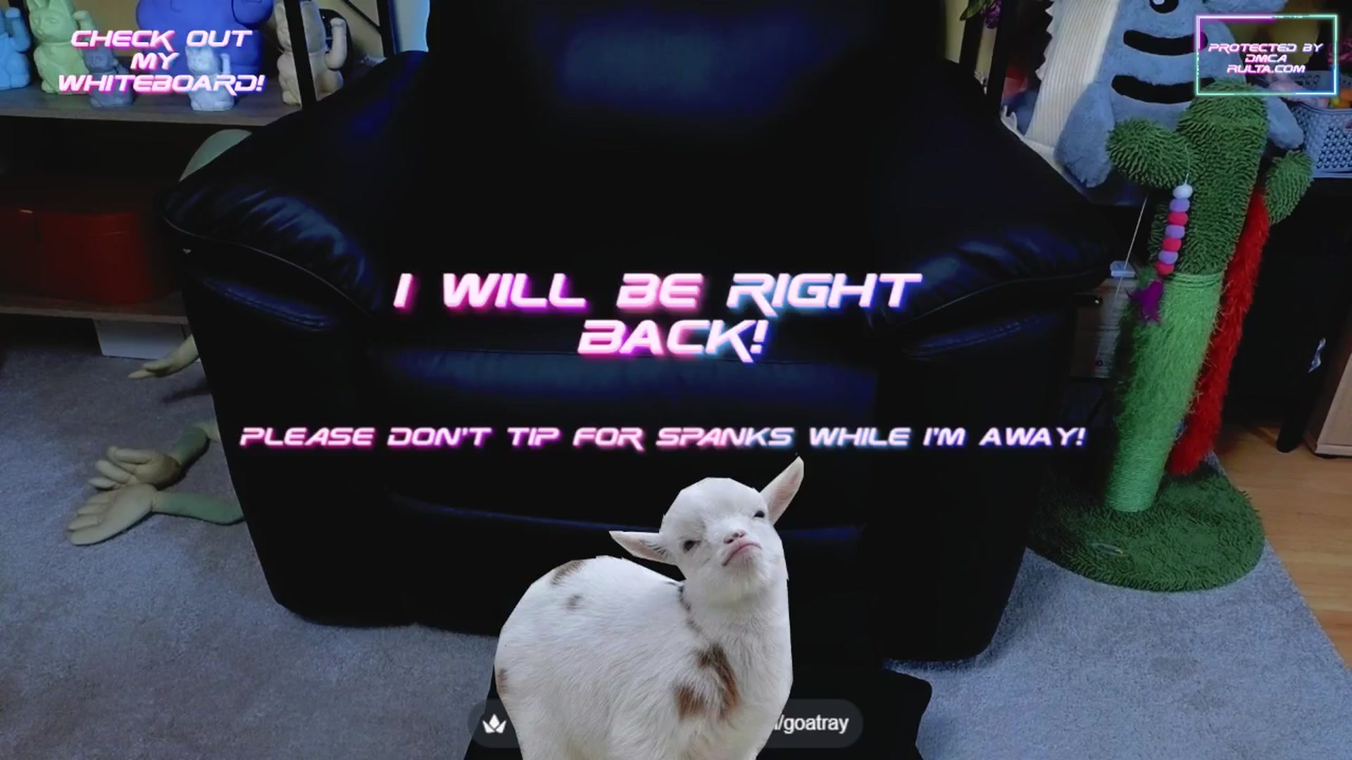 Gallery image thumbnail from TamaraRay's myfreecams stream on, 05/31/2025, 05:56 image 6 of 20
