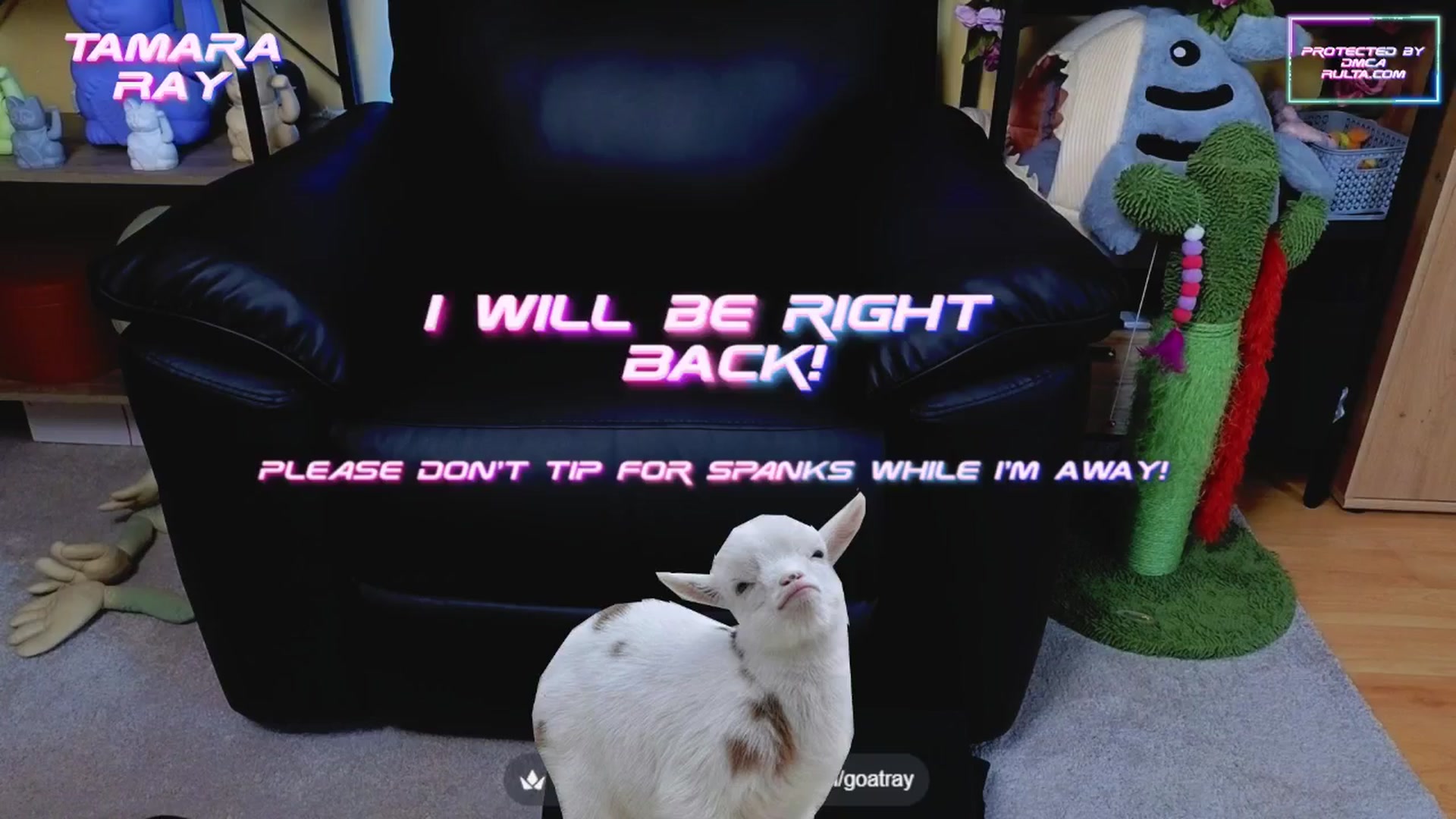 Gallery image thumbnail from TamaraRay's myfreecams stream on, 06/01/2025, 05:22 image 5 of 20