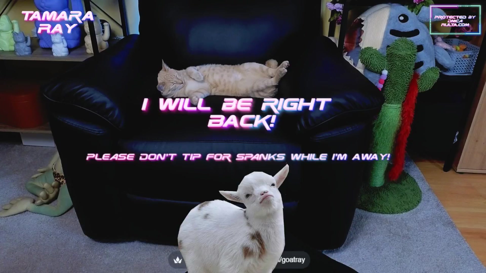 Gallery image thumbnail from TamaraRay's myfreecams stream on, 06/03/2025, 04:52 image 7 of 20