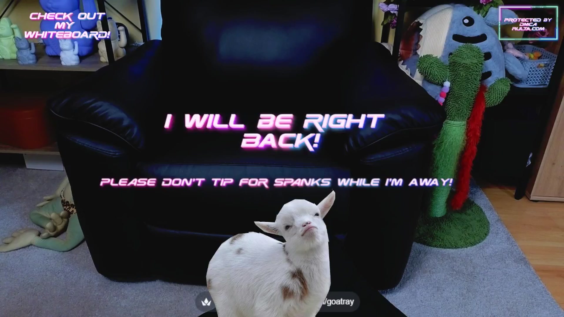 Gallery image thumbnail from TamaraRay's myfreecams stream on, 06/03/2025, 04:52 image 15 of 20