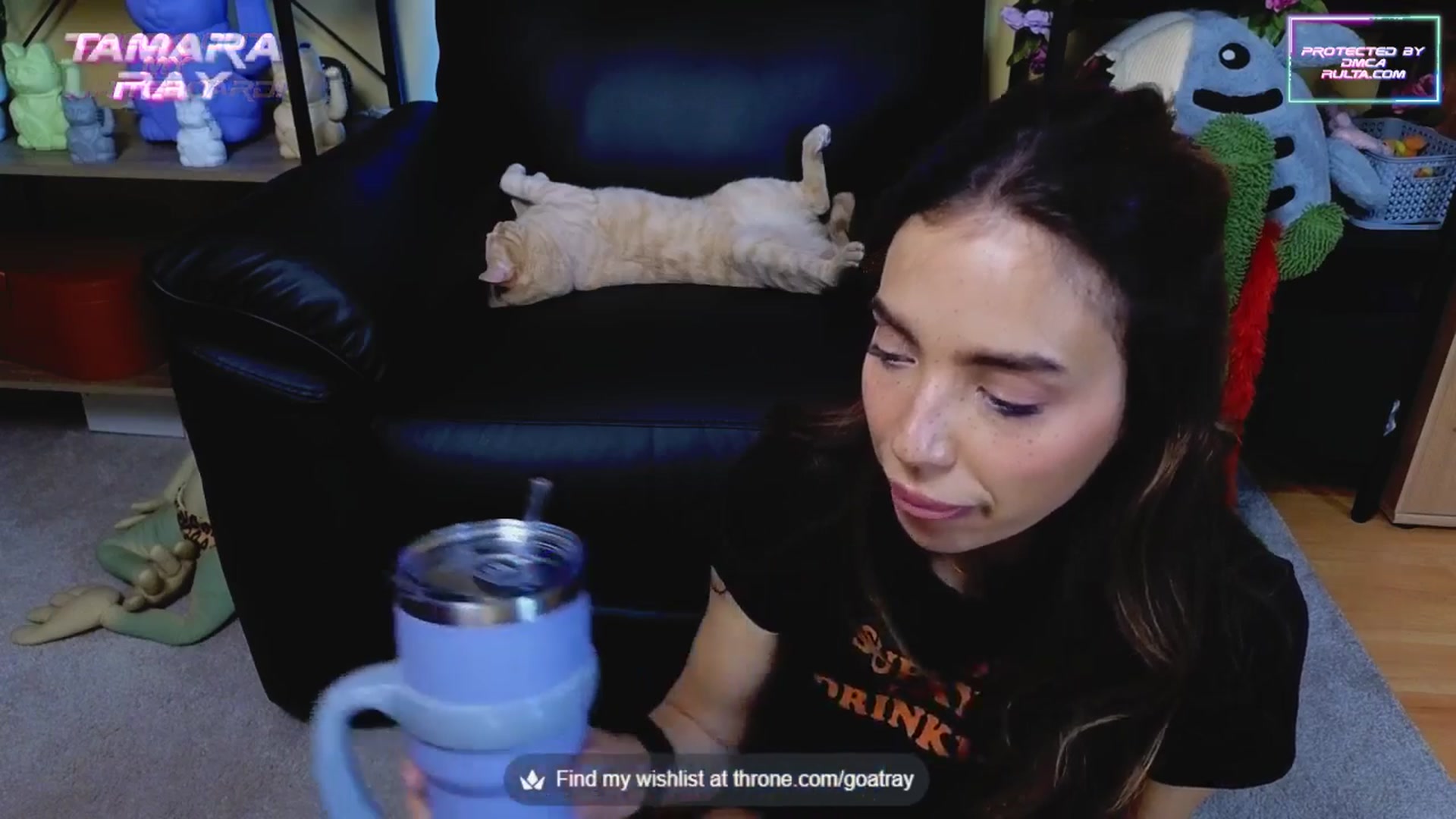 Gallery image thumbnail from TamaraRay's myfreecams stream on, 06/03/2025, 04:52 image 14 of 20