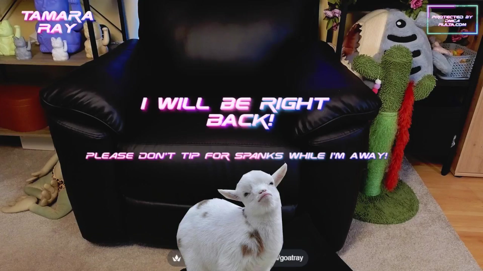 Gallery image thumbnail from TamaraRay's myfreecams stream on, 06/05/2025, 06:37 image 14 of 20