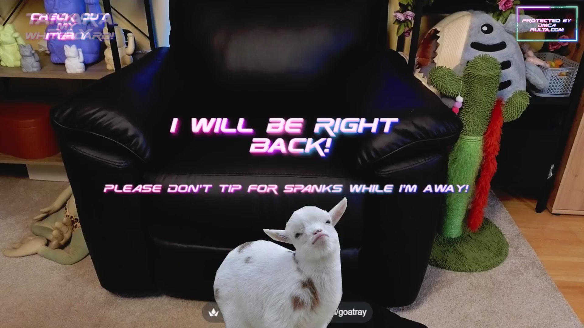 Gallery image thumbnail from TamaraRay's myfreecams stream on, 06/05/2025, 06:37 image 8 of 20