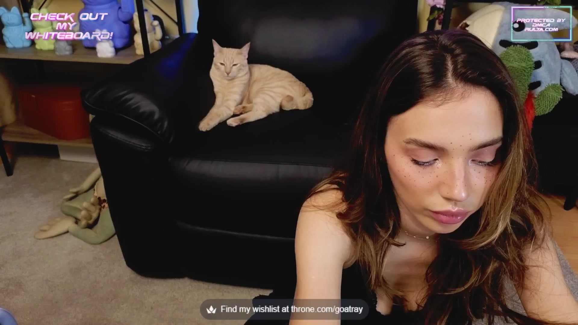 Gallery image thumbnail from TamaraRay's myfreecams stream on, 06/06/2025, 05:26 image 12 of 20