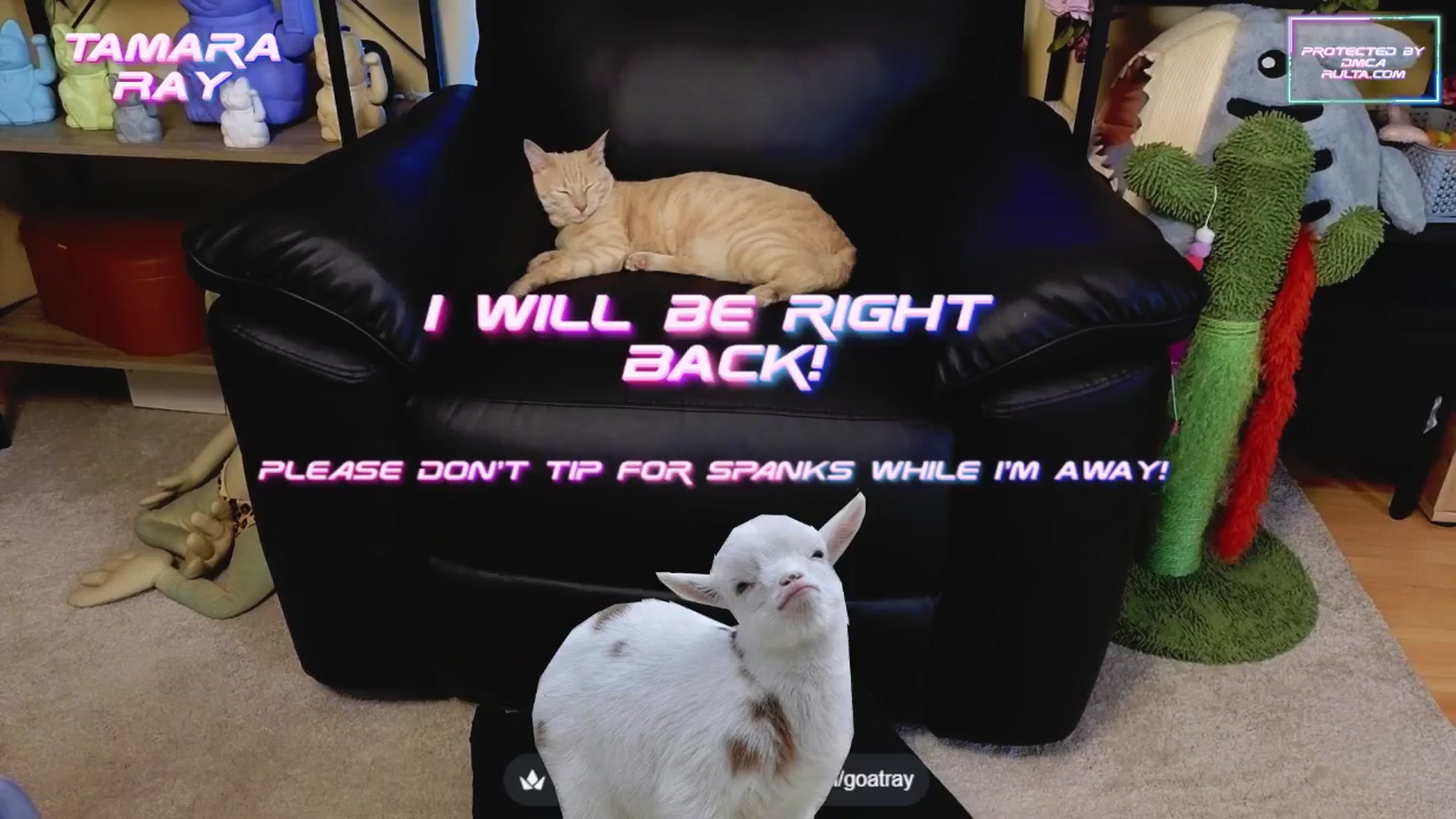 Gallery image thumbnail from TamaraRay's myfreecams stream on, 06/06/2025, 05:26 image 6 of 20