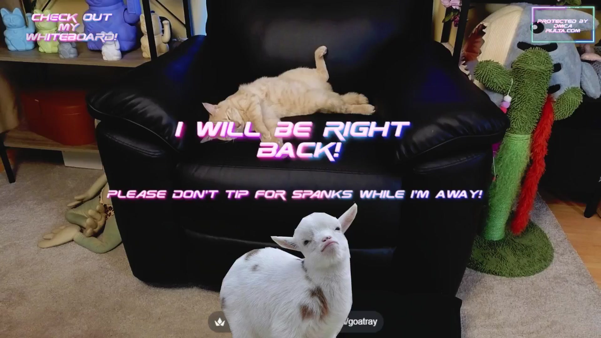 Gallery image thumbnail from TamaraRay's myfreecams stream on, 06/06/2025, 05:26 image 17 of 20