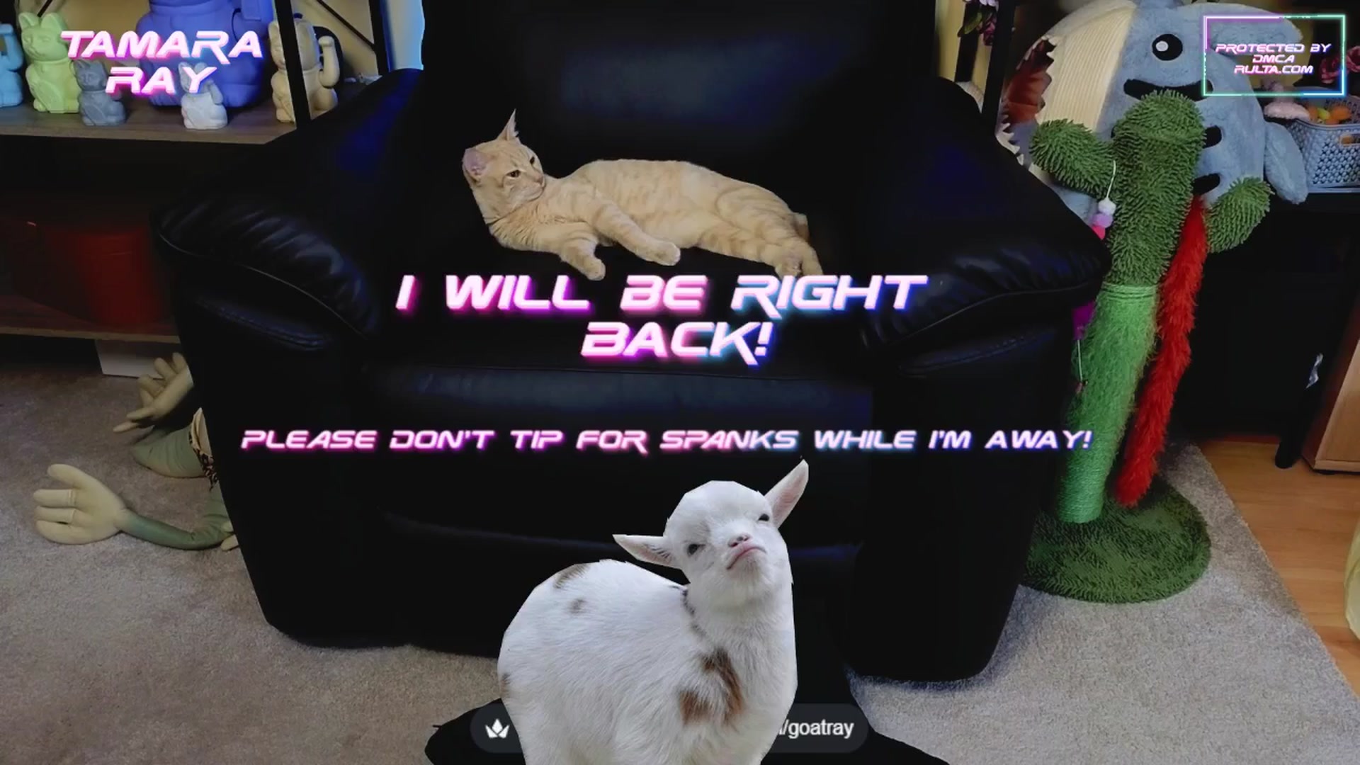 Gallery image thumbnail from TamaraRay's myfreecams stream on, 06/07/2025, 05:09 image 17 of 20