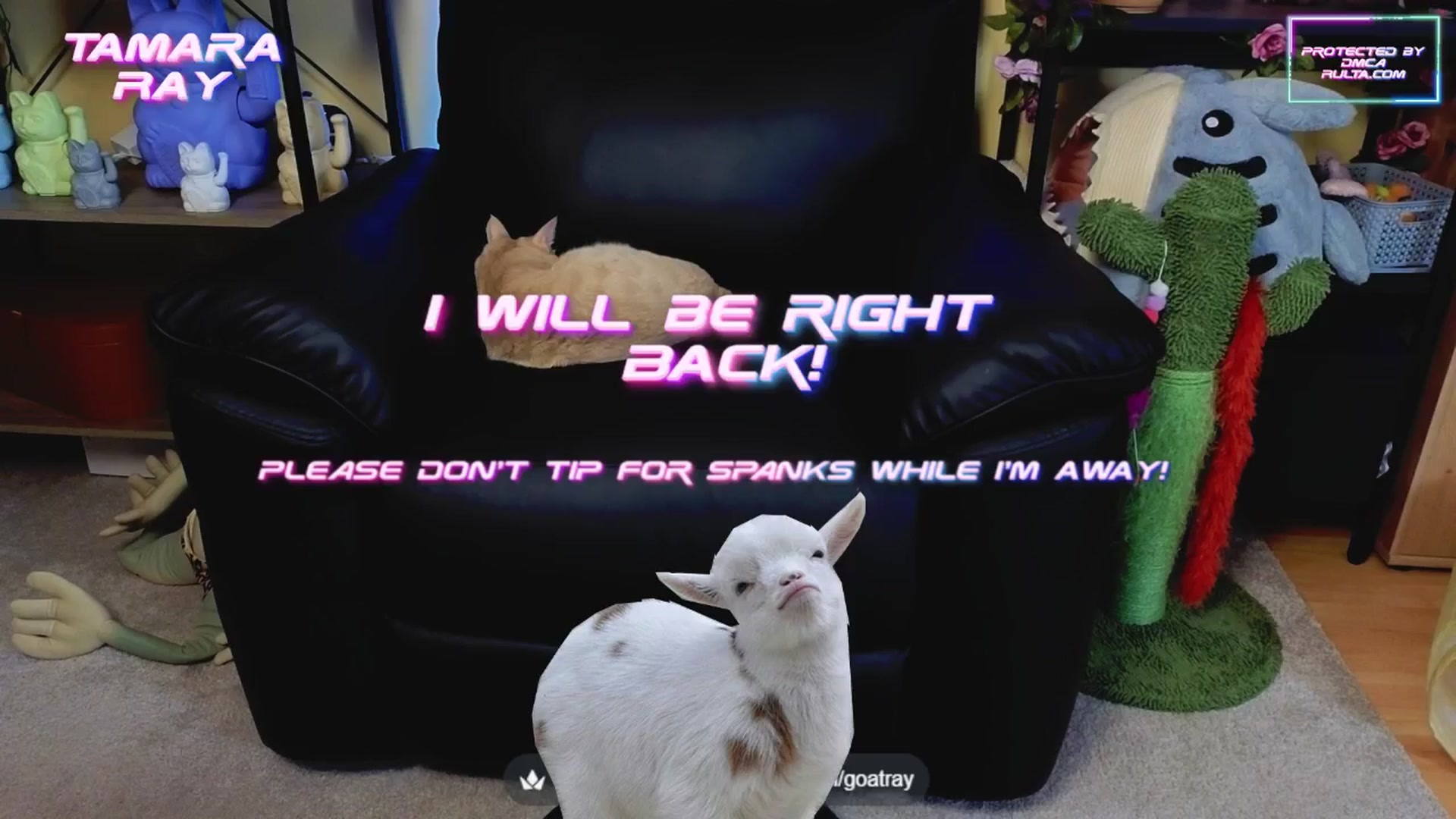 Gallery image thumbnail from TamaraRay's myfreecams stream on, 06/07/2025, 05:09 image 10 of 20