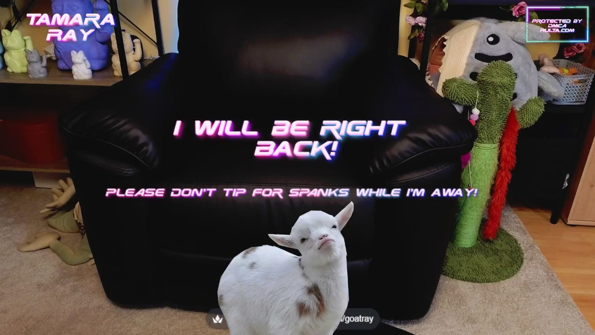 Gallery image thumbnail from TamaraRay's myfreecams stream on, 06/08/2025, 02:51 image 10 of 20