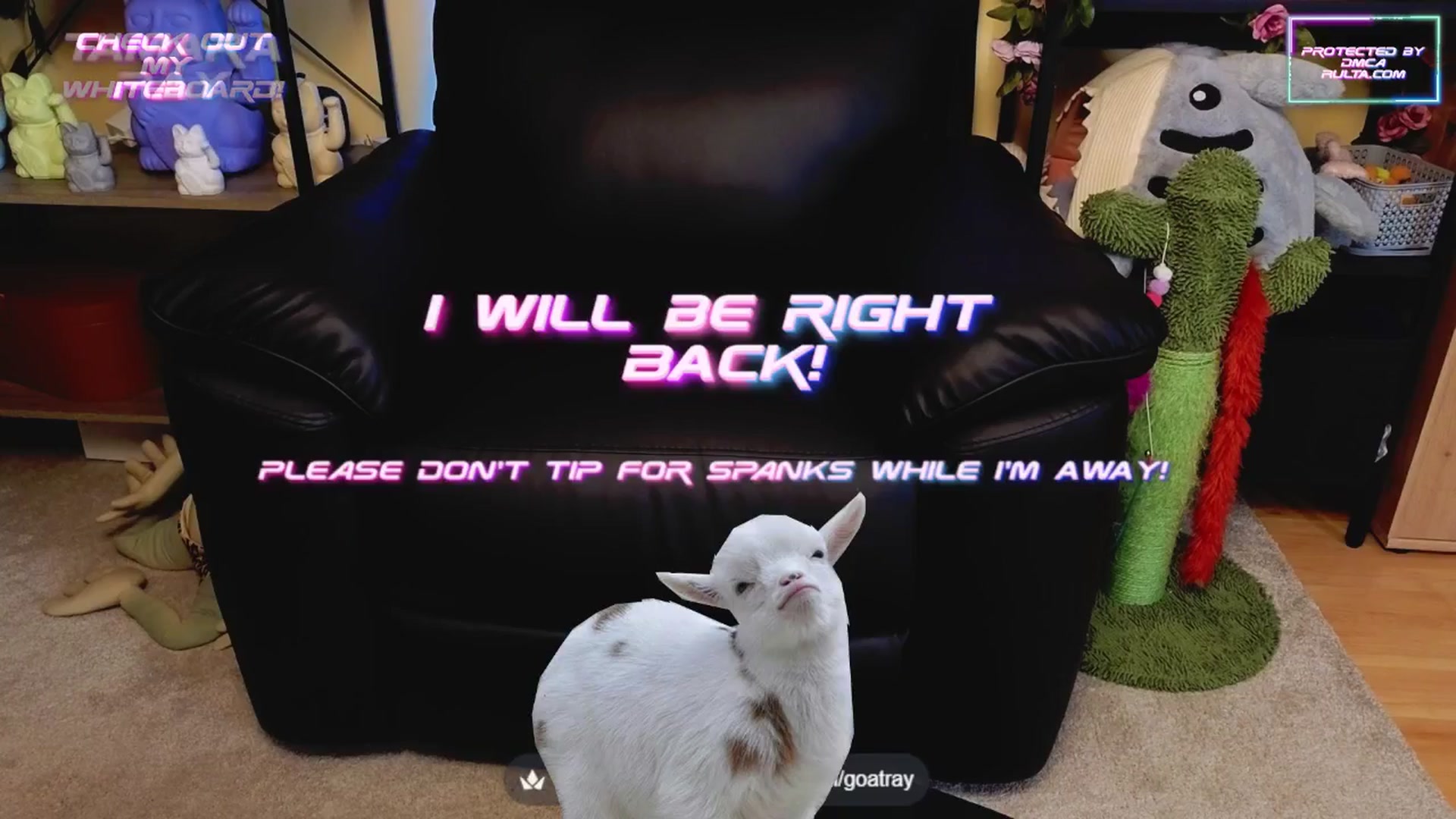 Gallery image thumbnail from TamaraRay's myfreecams stream on, 06/08/2025, 02:51 image 9 of 20