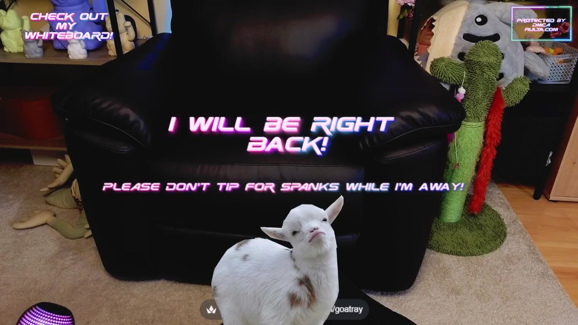 Gallery image thumbnail from TamaraRay's myfreecams stream on, 06/08/2025, 06:05 image 6 of 20