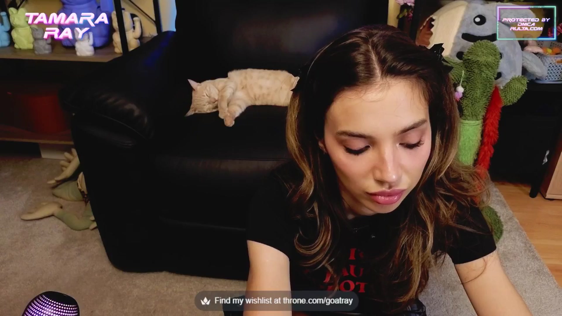 Gallery image thumbnail from TamaraRay's myfreecams stream on, 06/08/2025, 06:05 image 17 of 20
