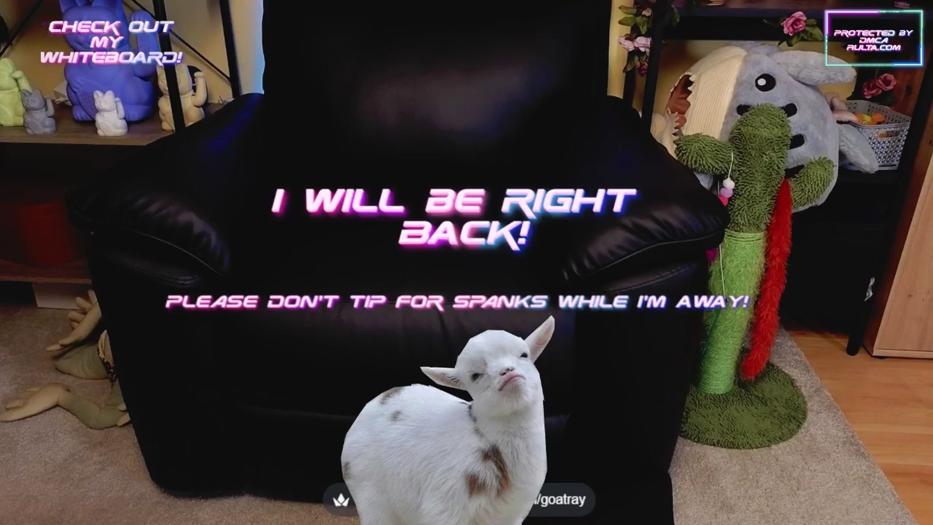 Gallery image thumbnail from TamaraRay's myfreecams stream on, 06/09/2025, 03:36 image 17 of 20