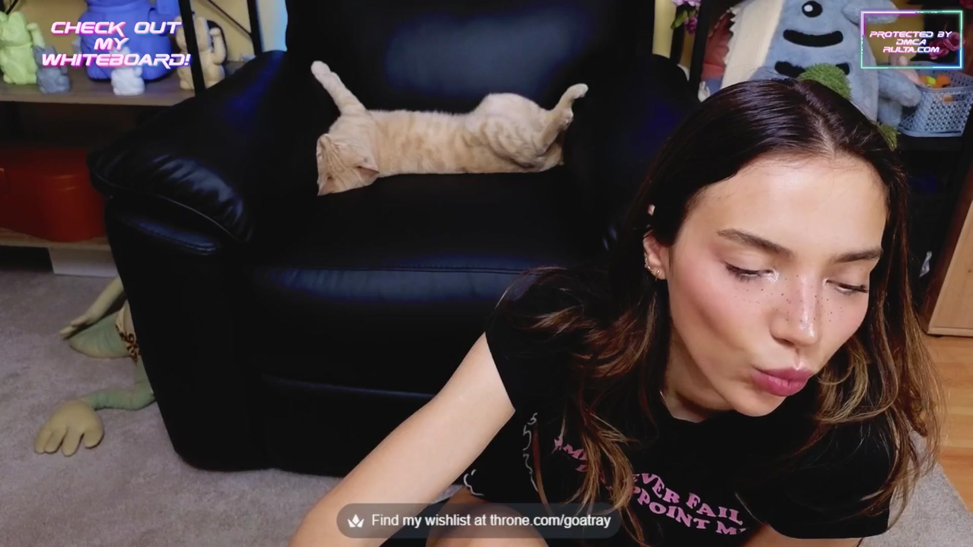 Gallery image thumbnail from TamaraRay's myfreecams stream on, 06/13/2025, 04:45 image 16 of 20