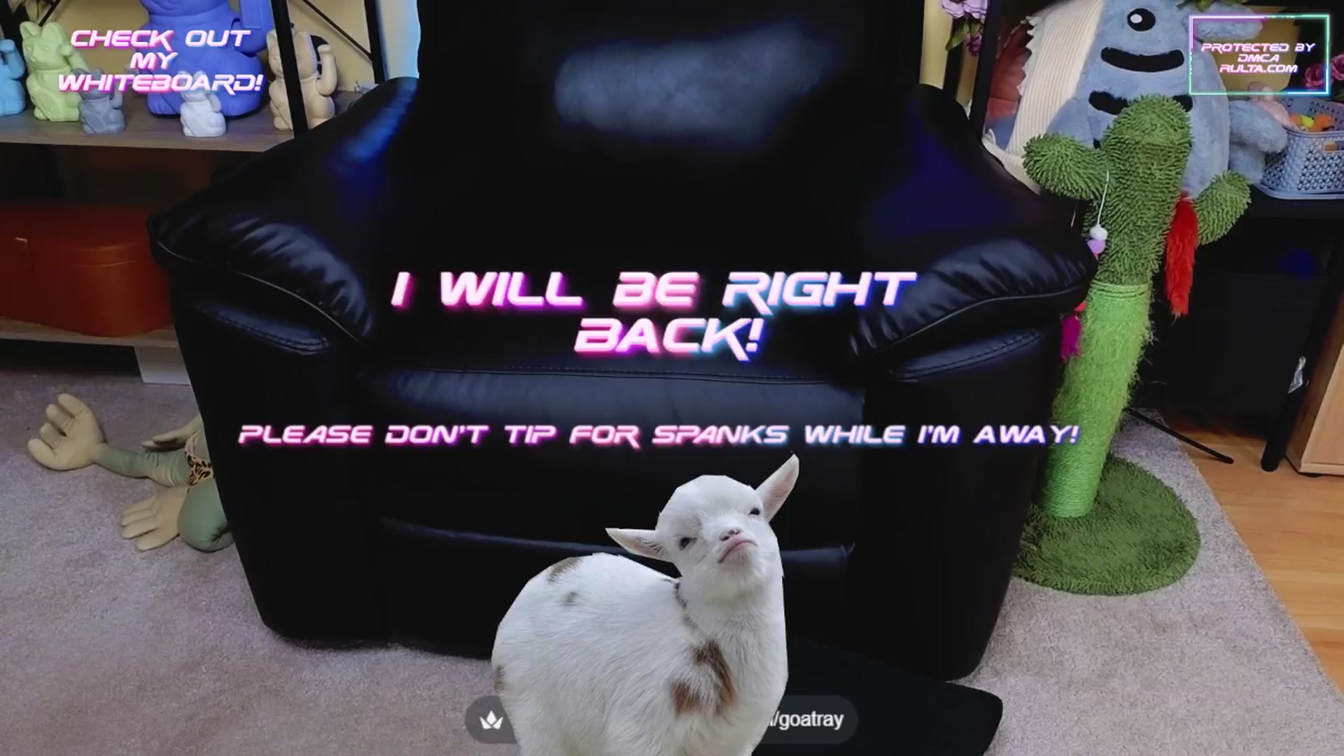 Gallery image thumbnail from TamaraRay's myfreecams stream on, 06/17/2025, 06:06 image 4 of 20