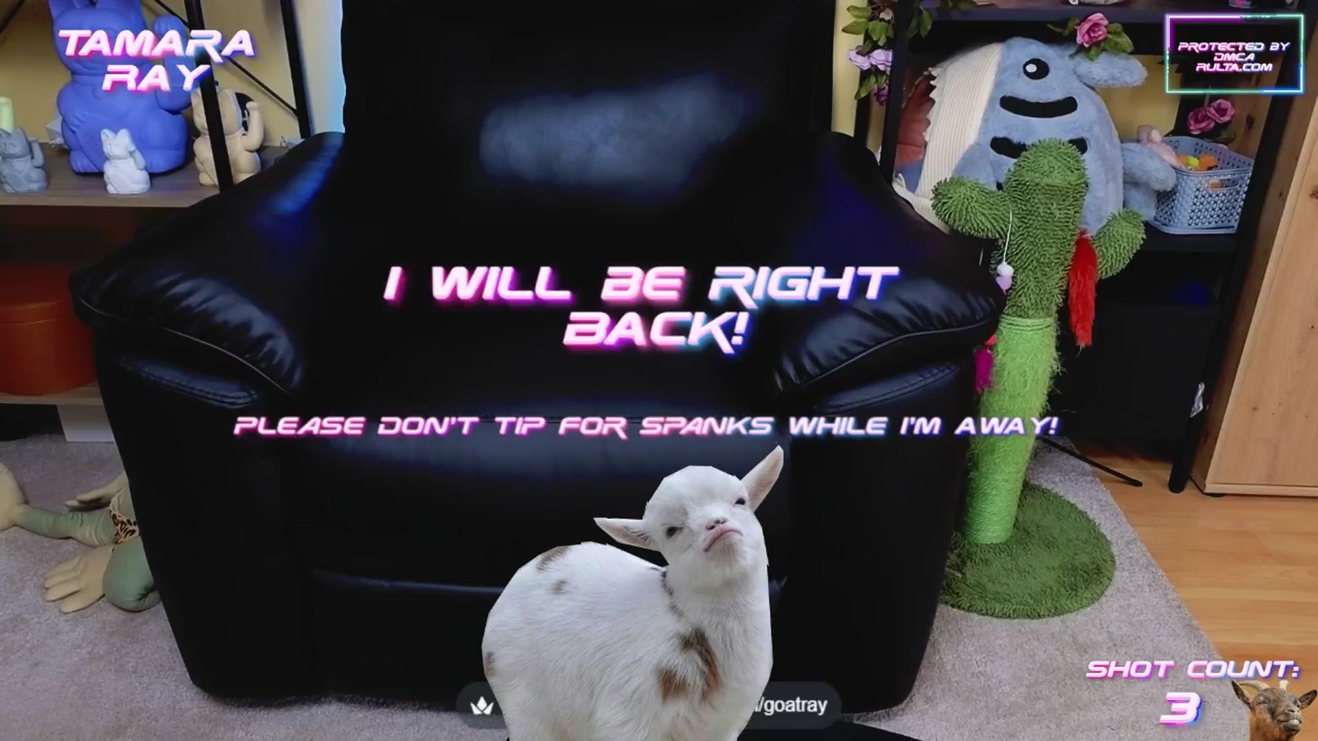 Gallery image thumbnail from TamaraRay's myfreecams stream on, 06/17/2025, 06:32 image 7 of 20