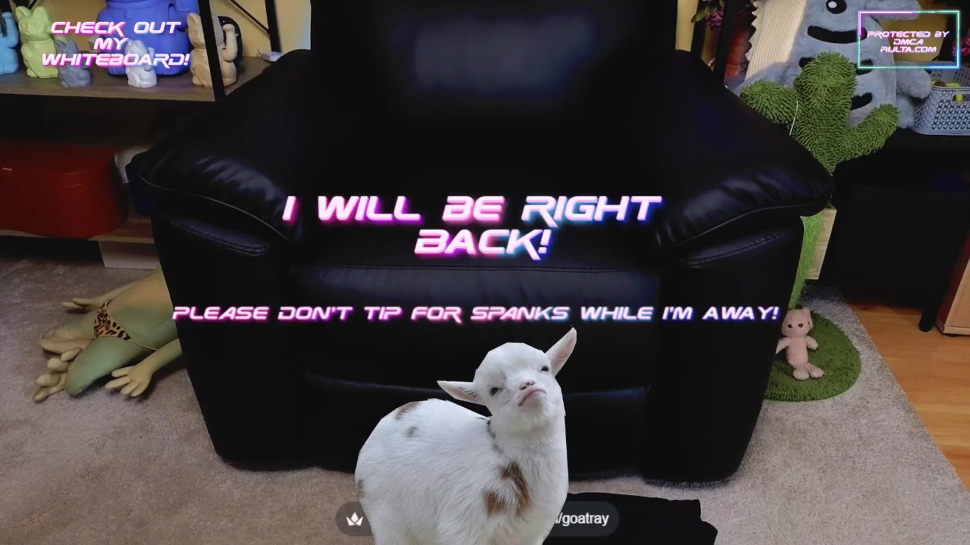 Gallery image thumbnail from TamaraRay's myfreecams stream on, 06/23/2025, 04:33 image 7 of 20