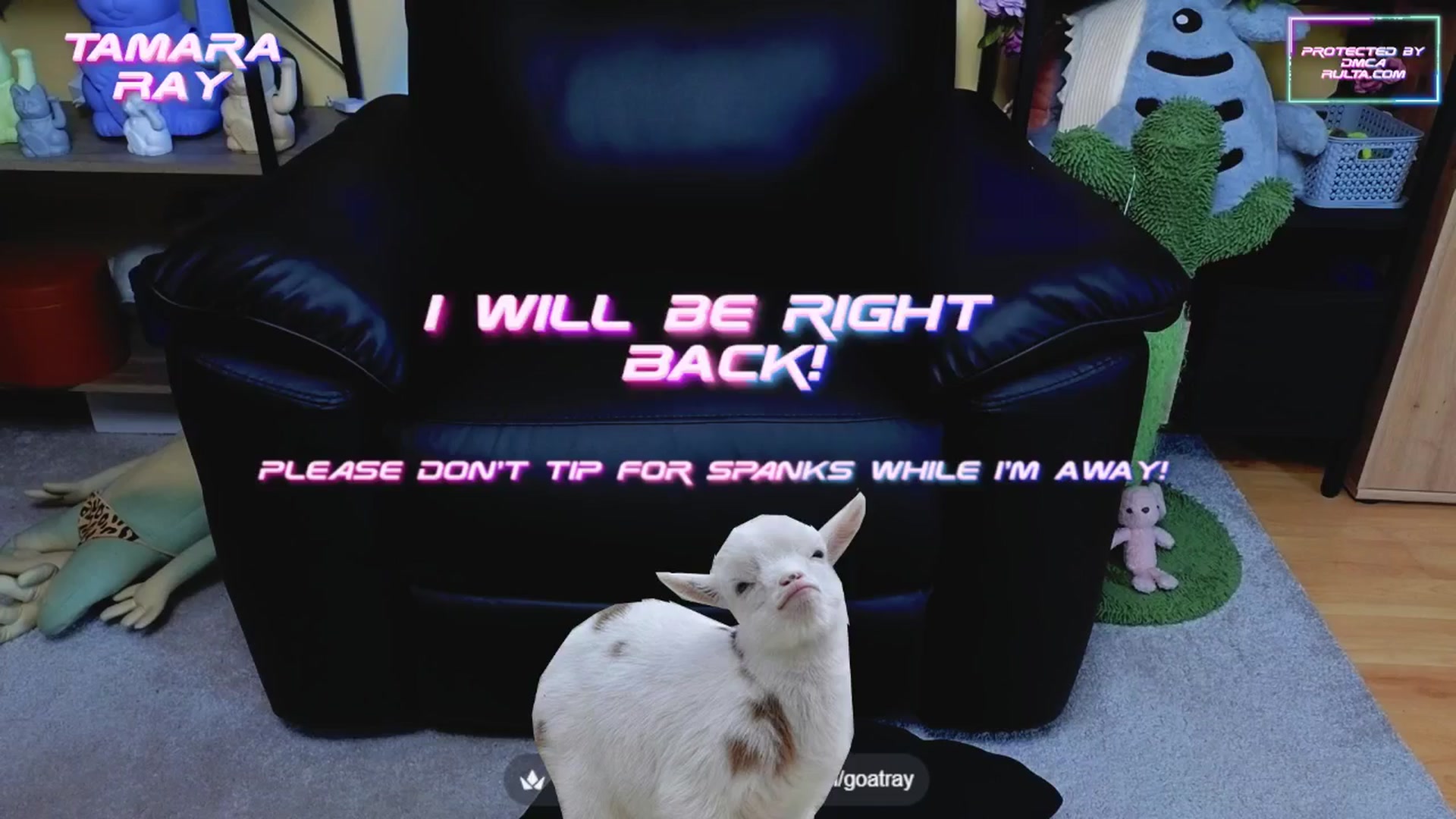 Gallery image thumbnail from TamaraRay's myfreecams stream on, 06/24/2025, 04:27 image 9 of 20