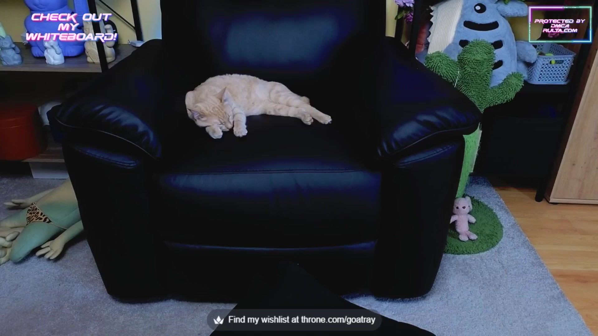 Gallery image thumbnail from TamaraRay's myfreecams stream on, 06/24/2025, 05:16 image 17 of 20