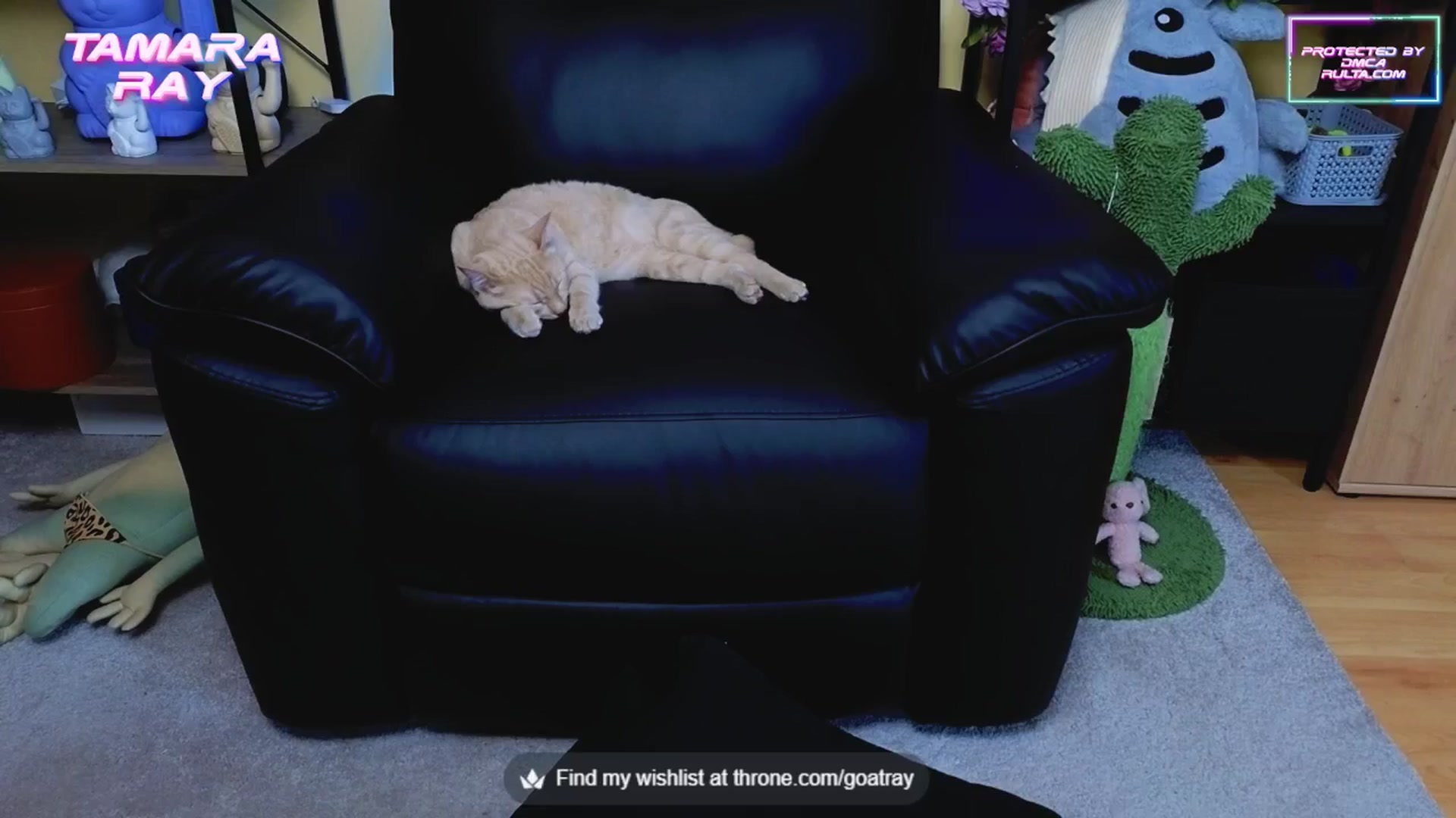 Gallery image thumbnail from TamaraRay's myfreecams stream on, 06/24/2025, 05:16 image 18 of 20