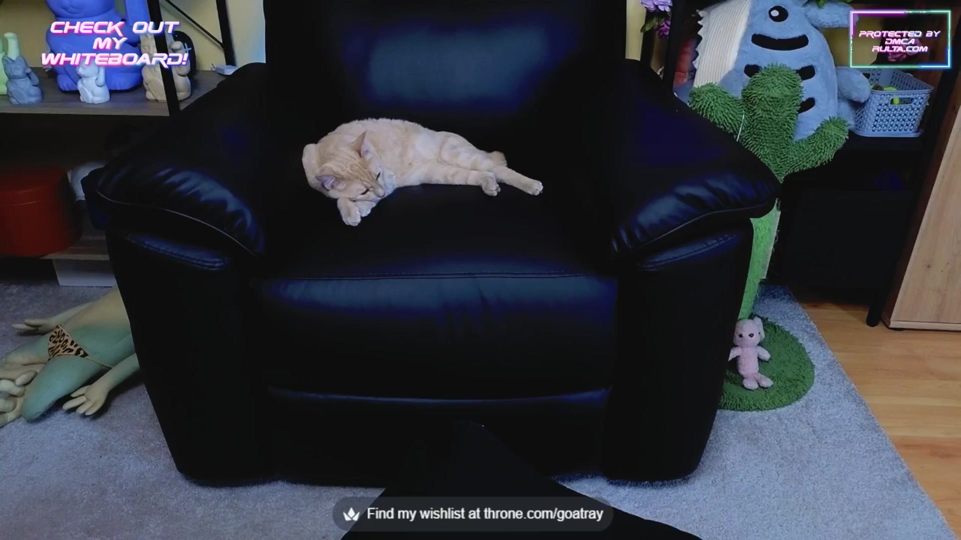Gallery image thumbnail from TamaraRay's myfreecams stream on, 06/24/2025, 05:16 image 16 of 20