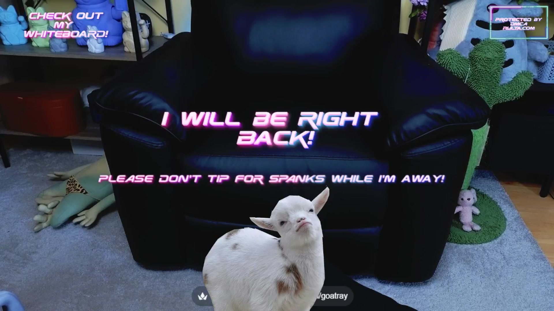 Gallery image thumbnail from TamaraRay's myfreecams stream on, 06/24/2025, 06:32 image 8 of 20