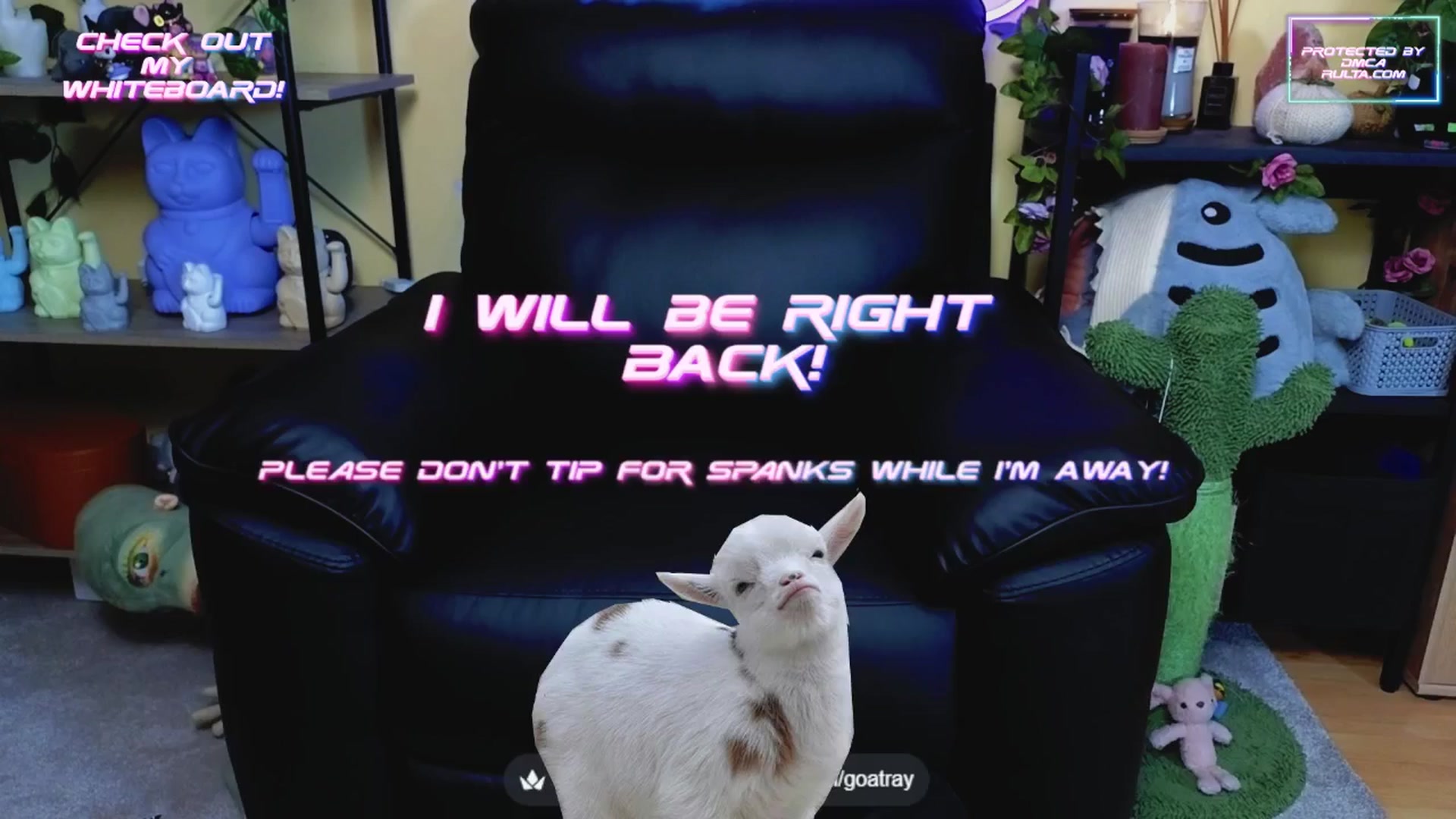 Gallery image thumbnail from TamaraRay's myfreecams stream on, 06/30/2025, 05:24 image 8 of 20
