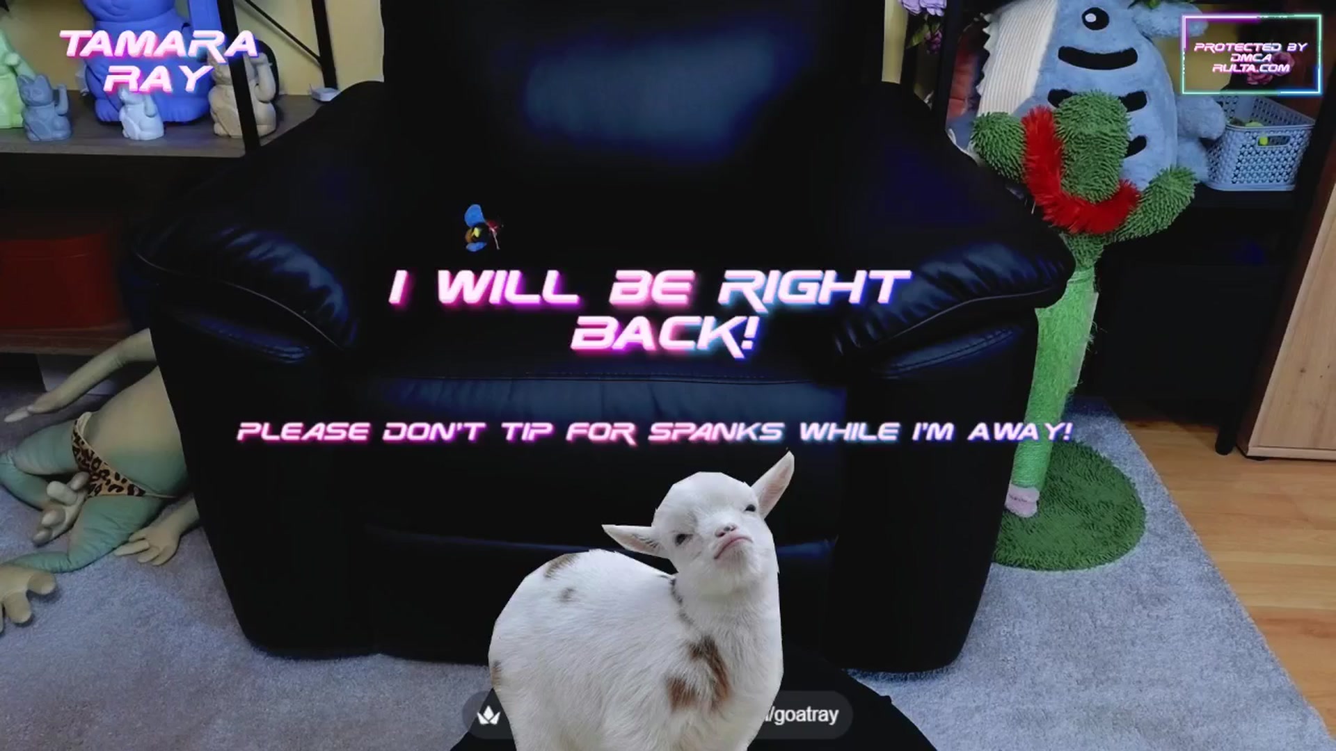 Gallery image thumbnail from TamaraRay's myfreecams stream on, 07/03/2025, 05:38 image 7 of 20