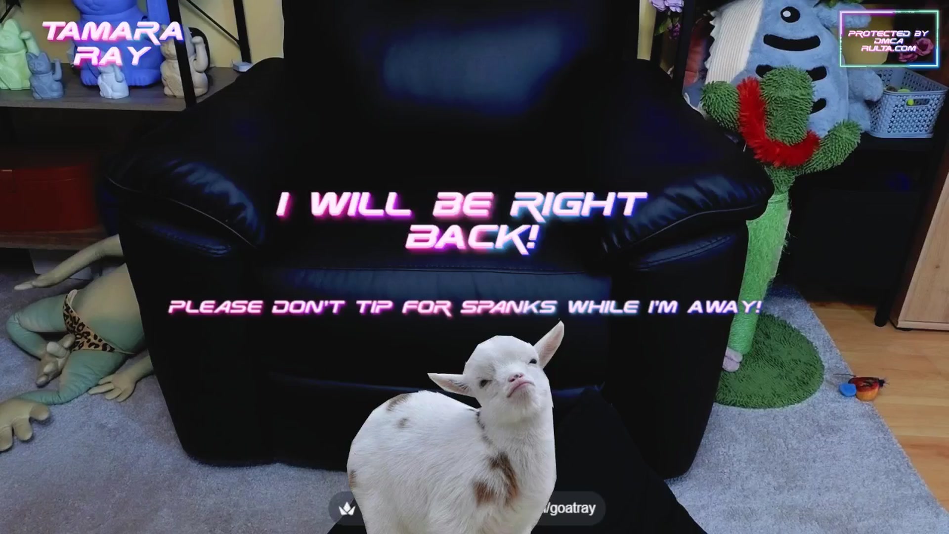 Gallery image thumbnail from TamaraRay's myfreecams stream on, 07/03/2025, 05:38 image 12 of 20