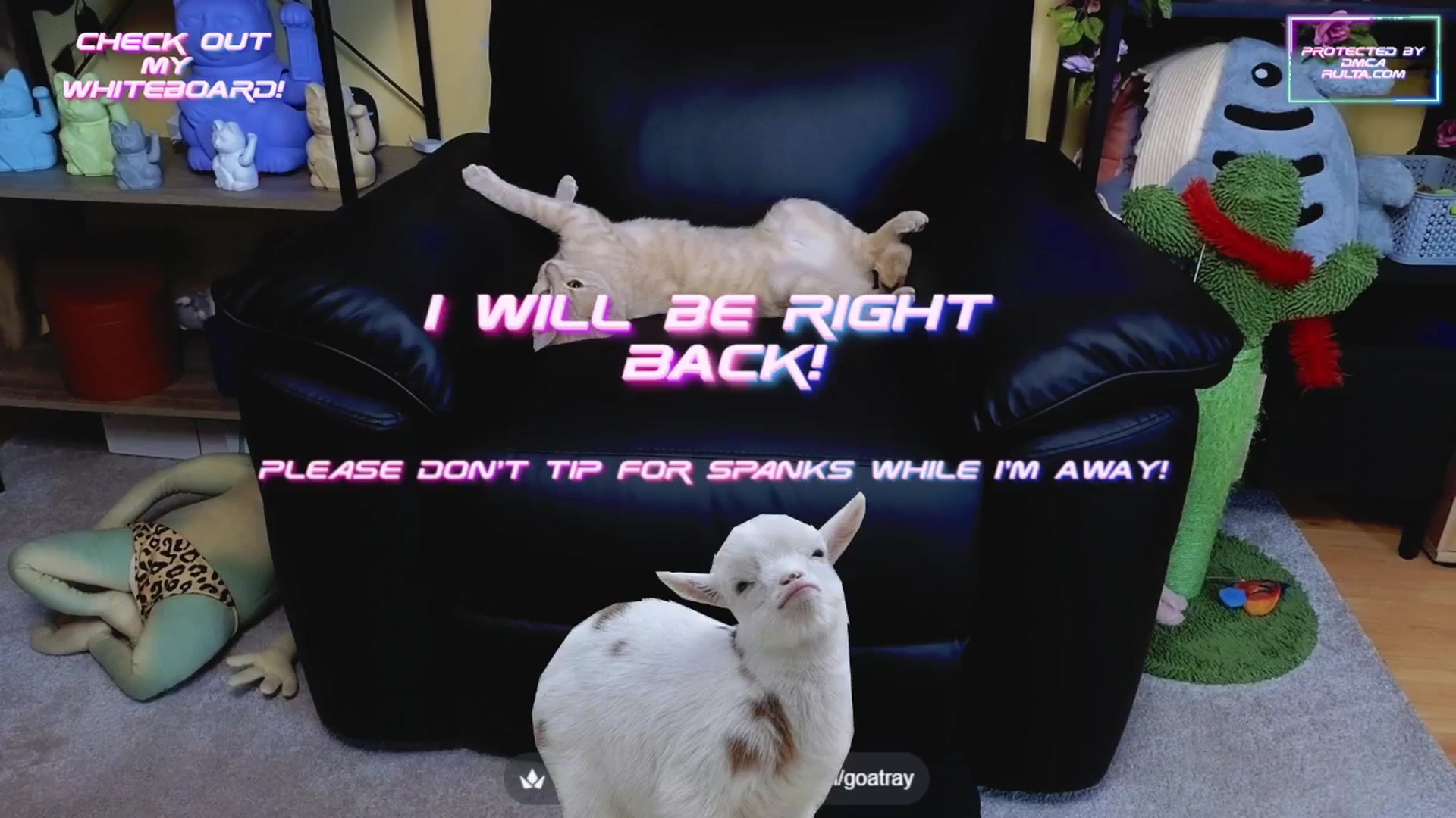 Gallery image thumbnail from TamaraRay's myfreecams stream on, 07/04/2025, 08:06 image 7 of 20