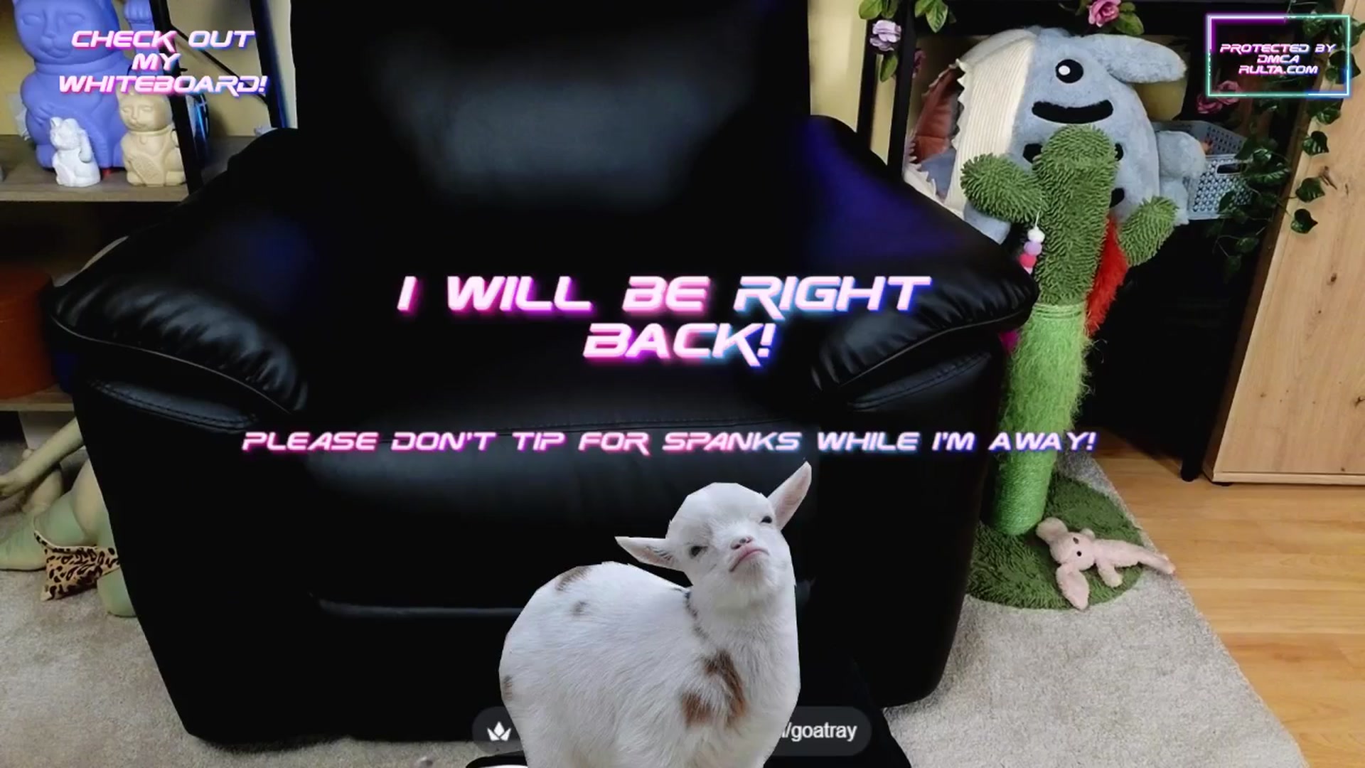 Gallery image thumbnail from TamaraRay's myfreecams stream on, 07/22/2025, 06:58 image 10 of 20