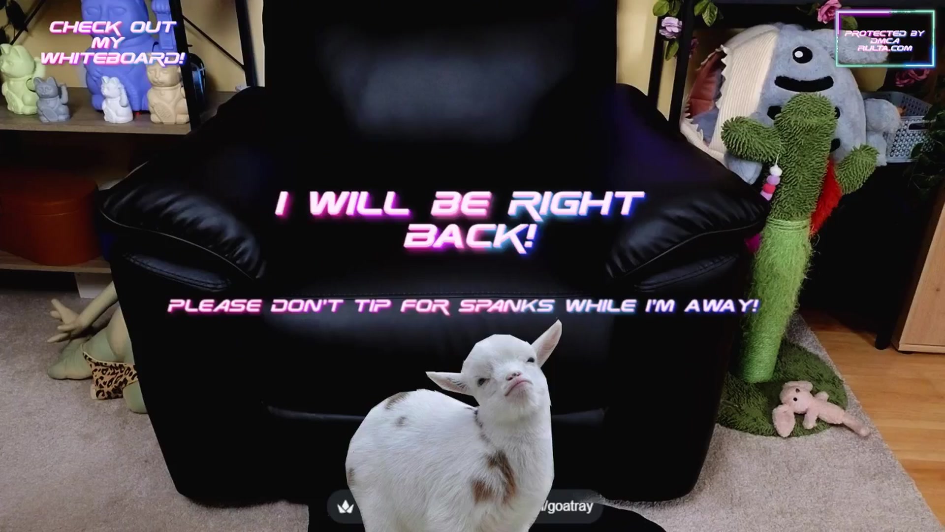 Gallery image thumbnail from TamaraRay's myfreecams stream on, 07/23/2025, 04:42 image 19 of 20