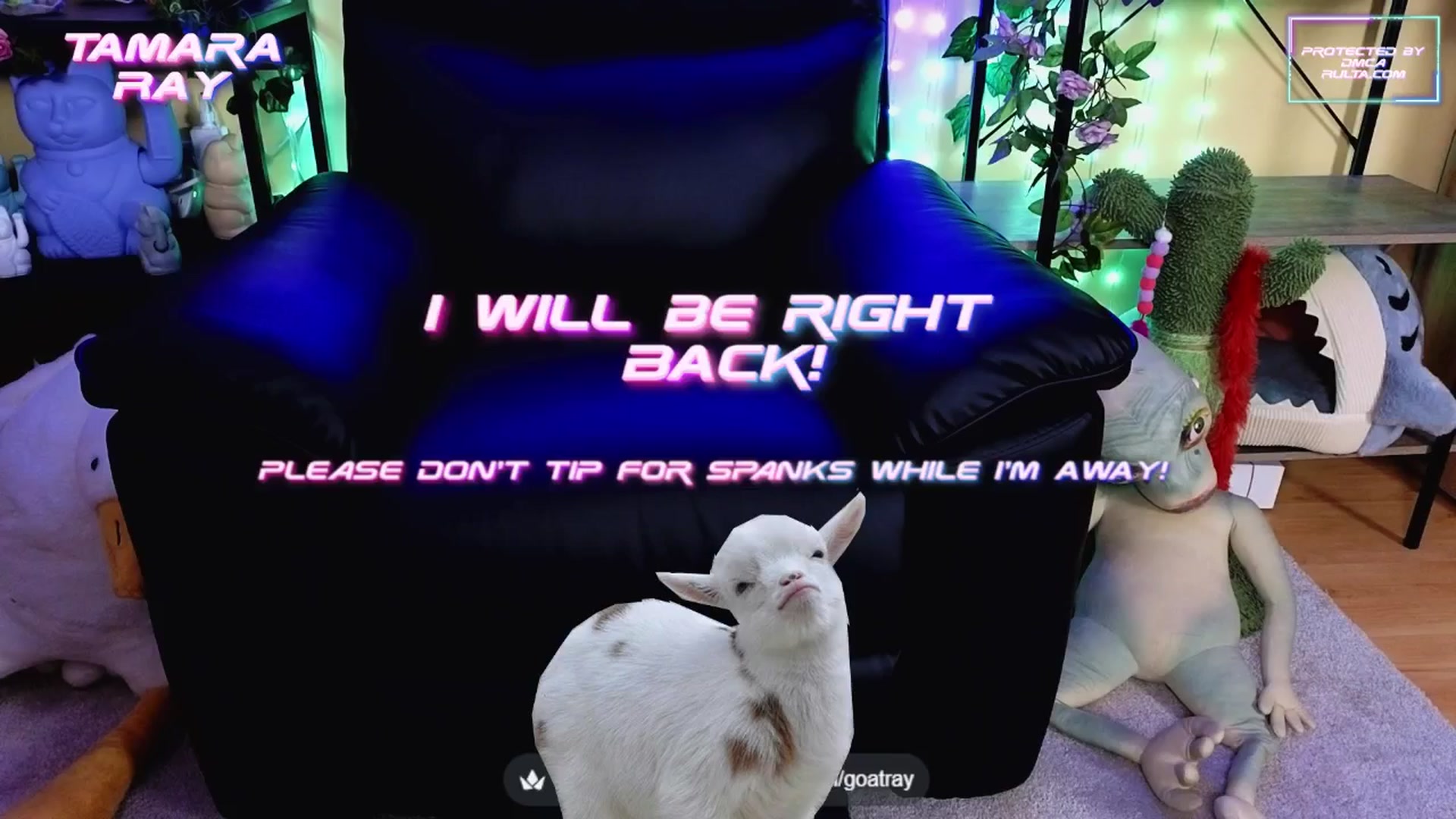Gallery image thumbnail from TamaraRay's myfreecams stream on, 08/10/2025, 03:34 image 2 of 20