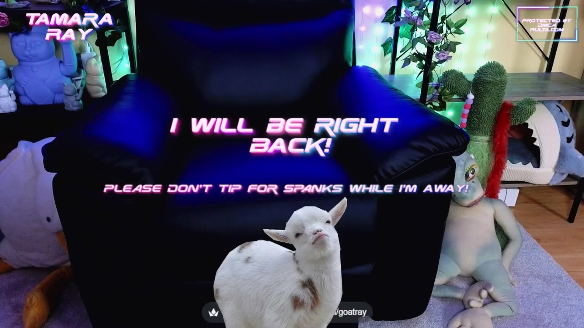 Gallery image thumbnail from TamaraRay's myfreecams stream on, 08/12/2025, 03:17 image 13 of 20