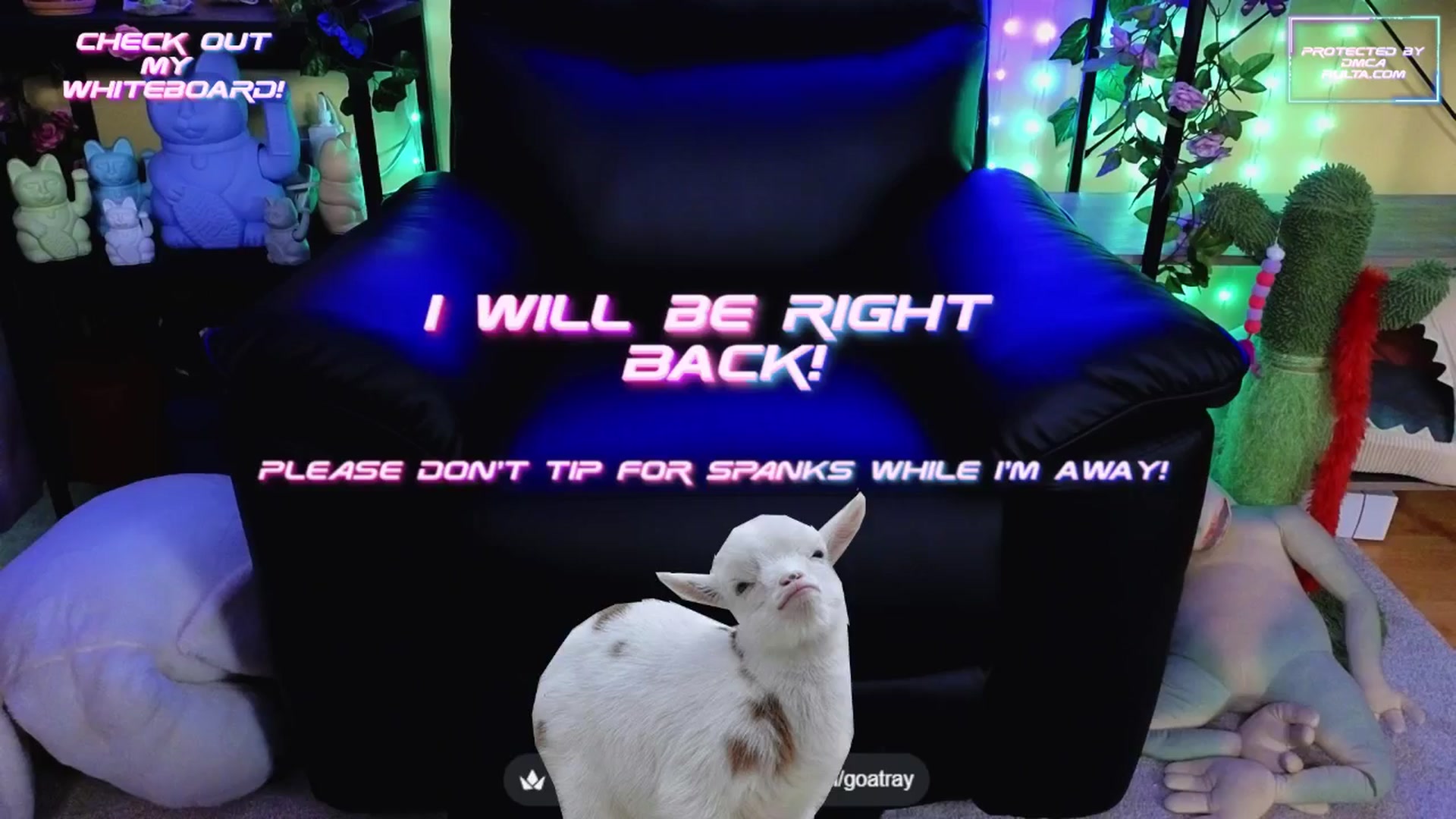 Gallery image thumbnail from TamaraRay's myfreecams stream on, 08/14/2025, 04:43 image 15 of 20