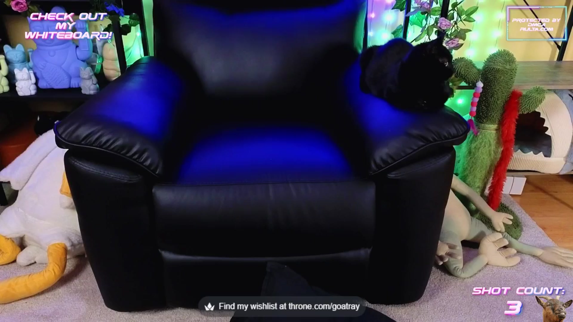 Gallery image thumbnail from TamaraRay's myfreecams stream on, 08/15/2025, 05:54 image 13 of 20