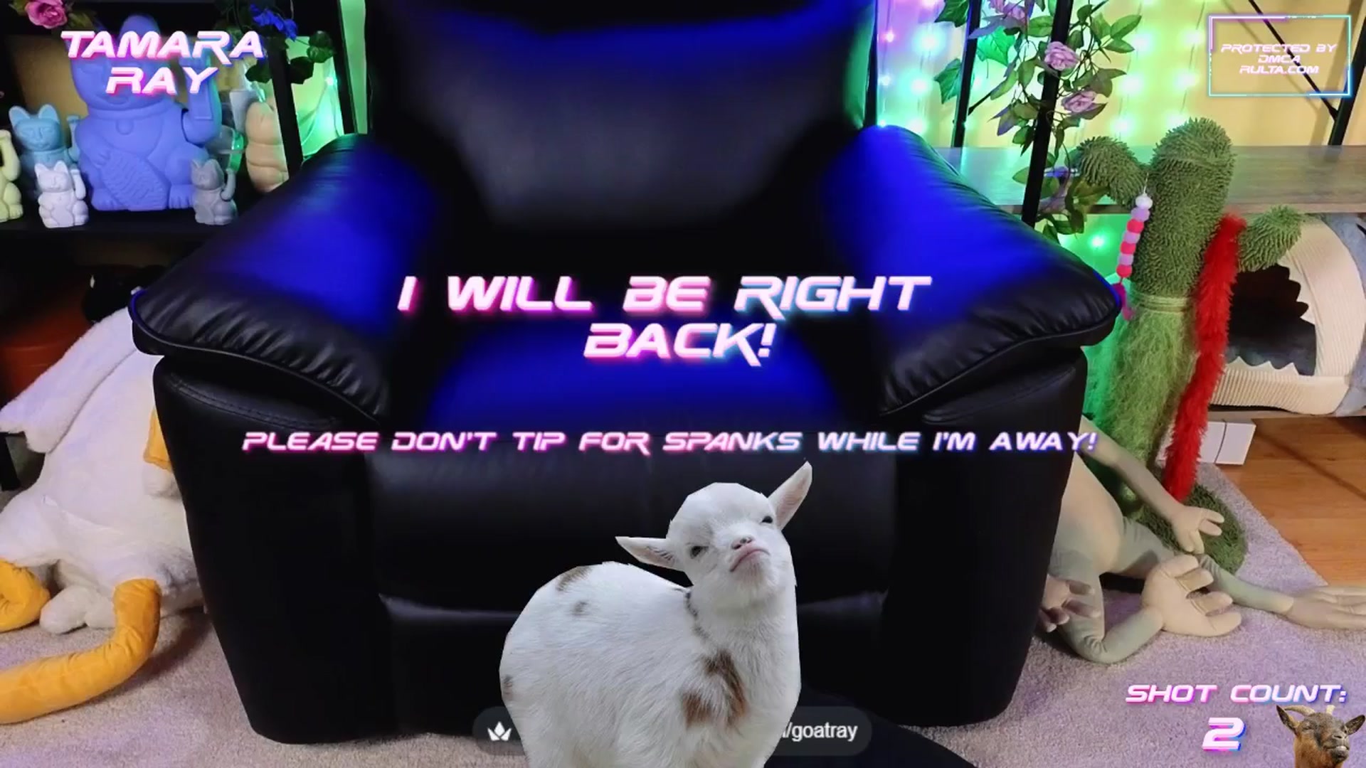Gallery image thumbnail from TamaraRay's myfreecams stream on, 08/15/2025, 05:54 image 5 of 20