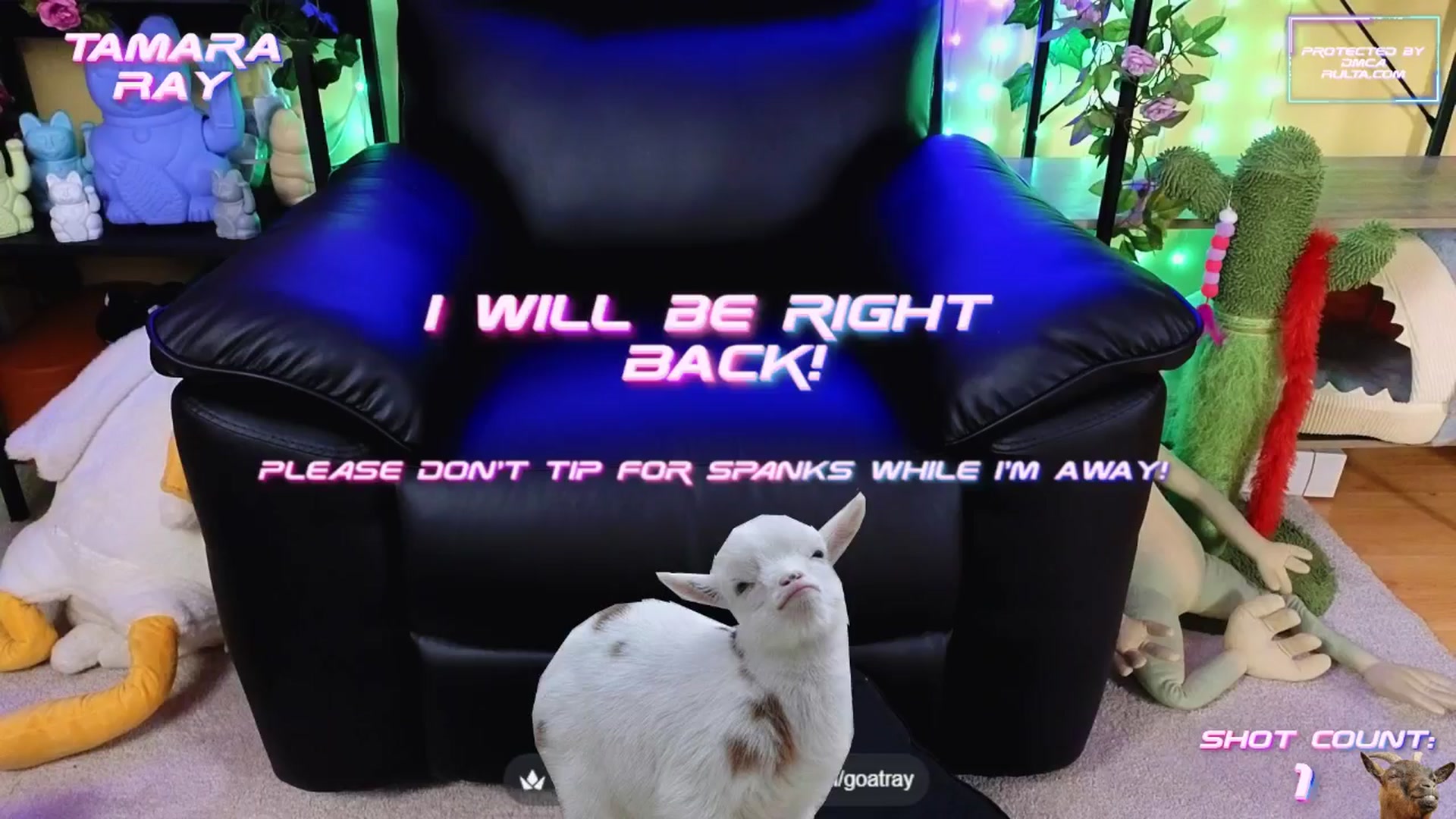 Gallery image thumbnail from TamaraRay's myfreecams stream on, 08/15/2025, 07:55 image 20 of 20