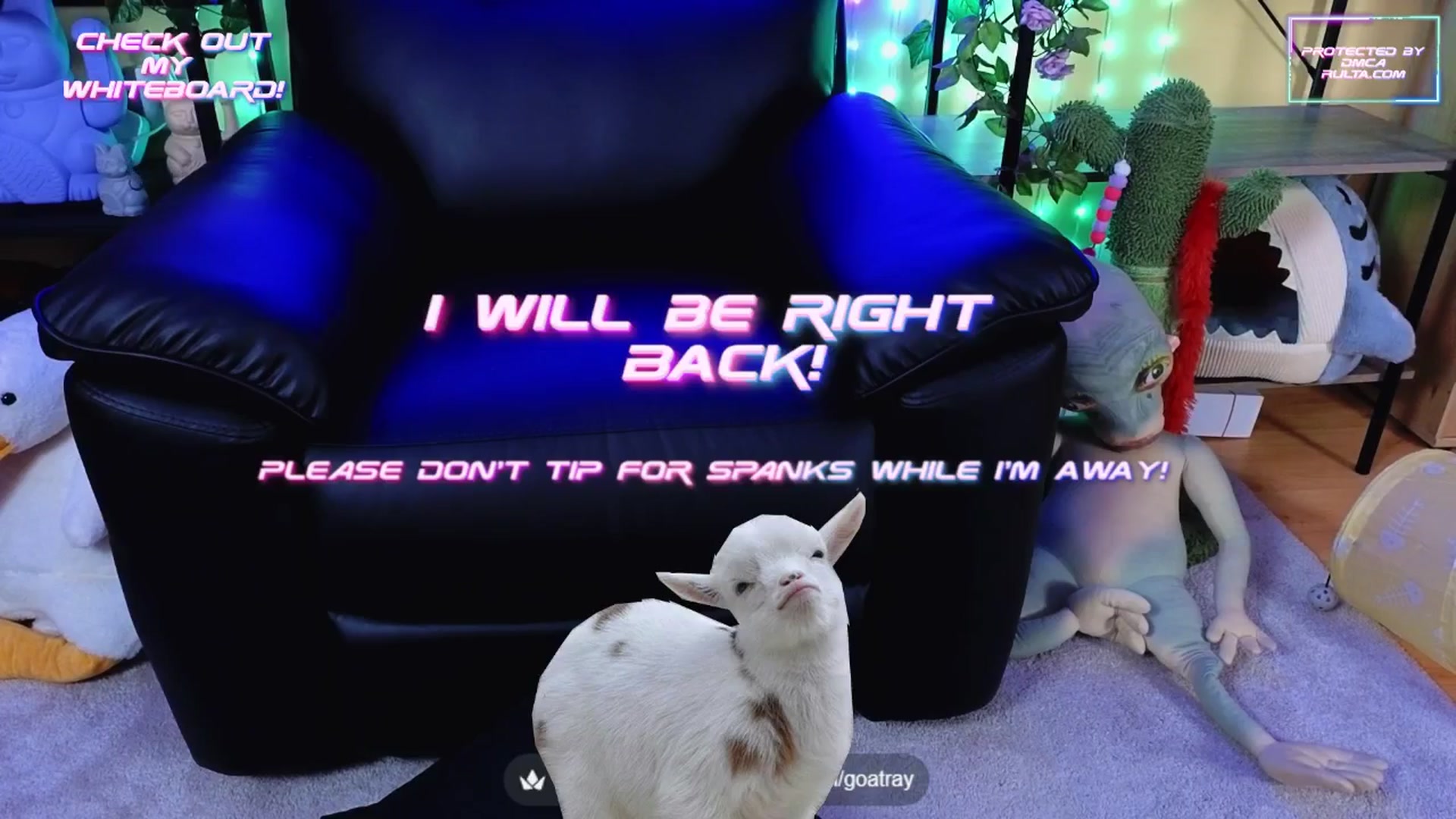 Gallery image thumbnail from TamaraRay's myfreecams stream on, 08/19/2025, 07:38 image 2 of 20
