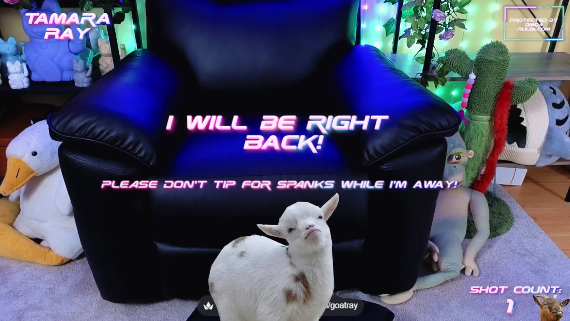 Gallery image thumbnail from TamaraRay's myfreecams stream on, 08/20/2025, 08:05 image 2 of 20