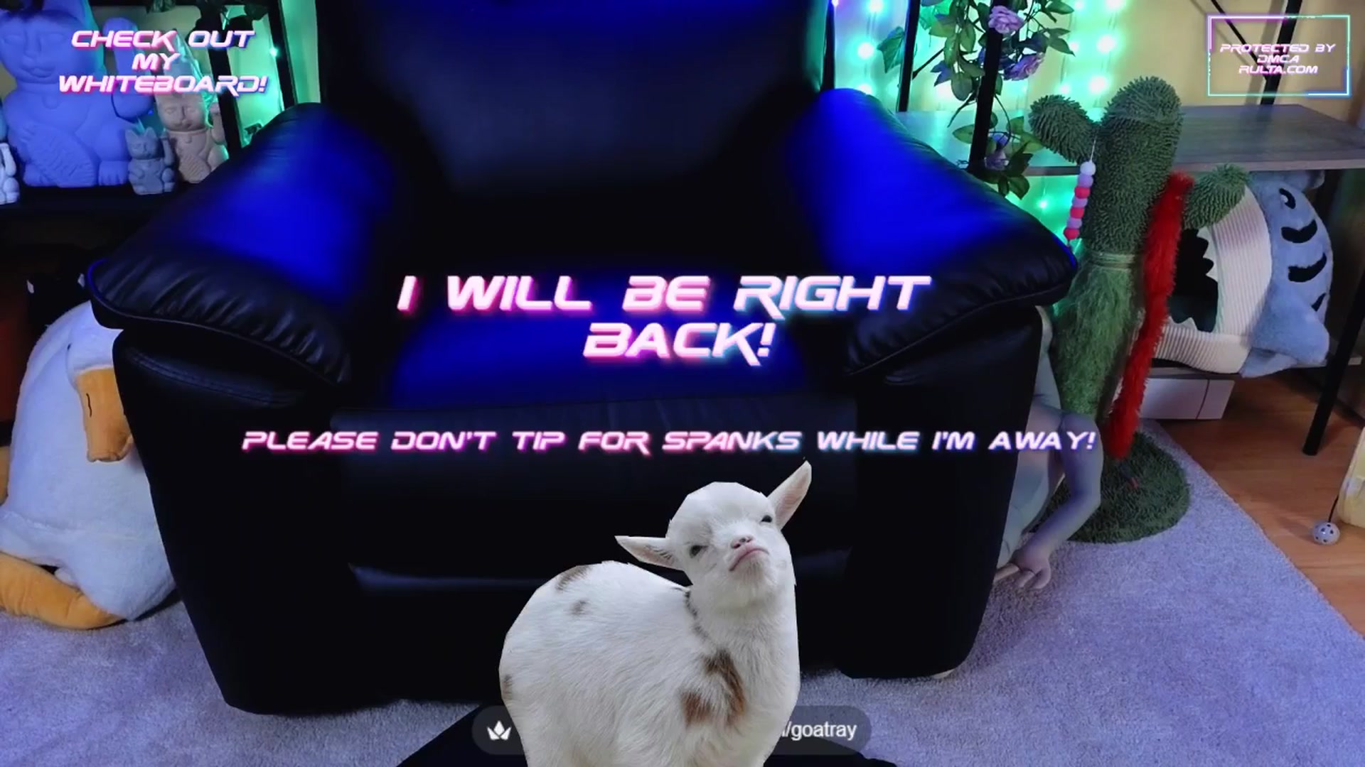 Gallery image thumbnail from TamaraRay's myfreecams stream on, 08/27/2025, 04:50 image 7 of 20