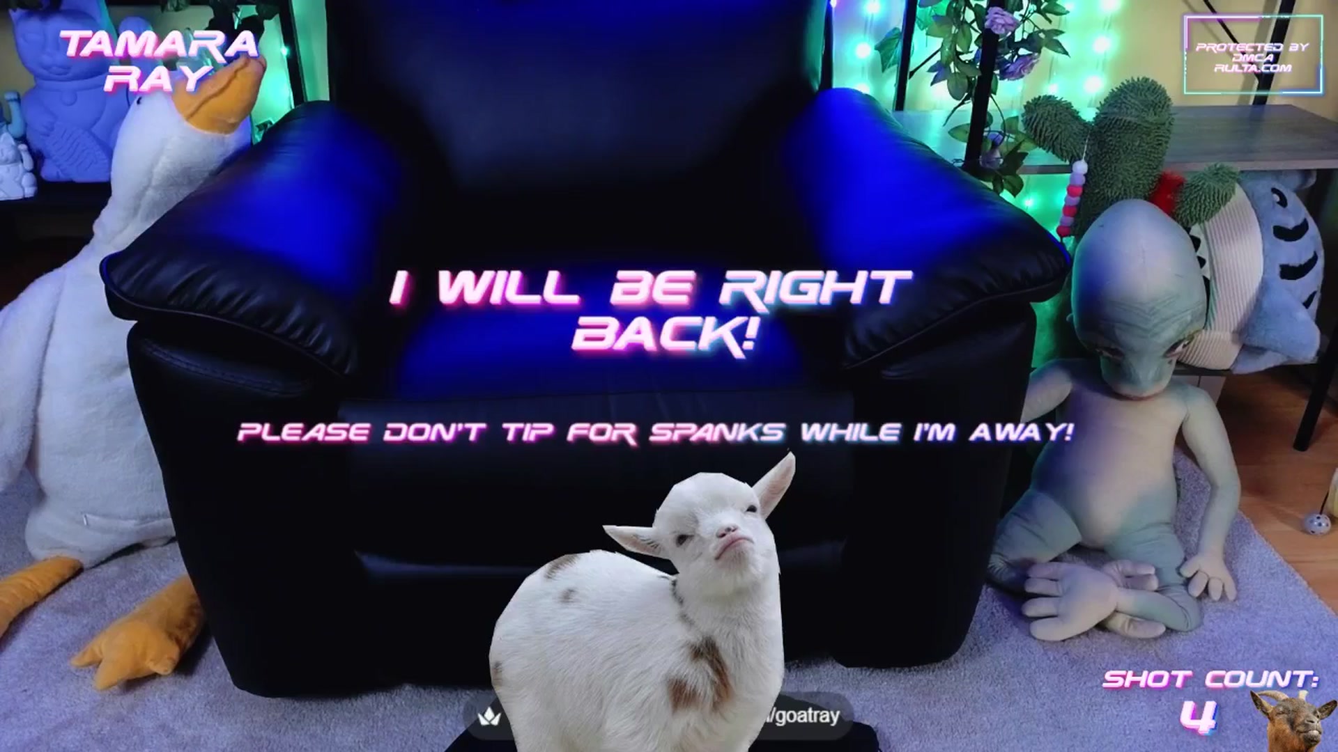 Gallery image thumbnail from TamaraRay's myfreecams stream on, 08/27/2025, 07:51 image 4 of 20