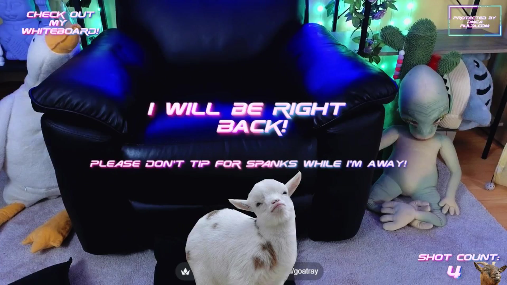 Gallery image thumbnail from TamaraRay's myfreecams stream on, 08/27/2025, 07:51 image 17 of 20
