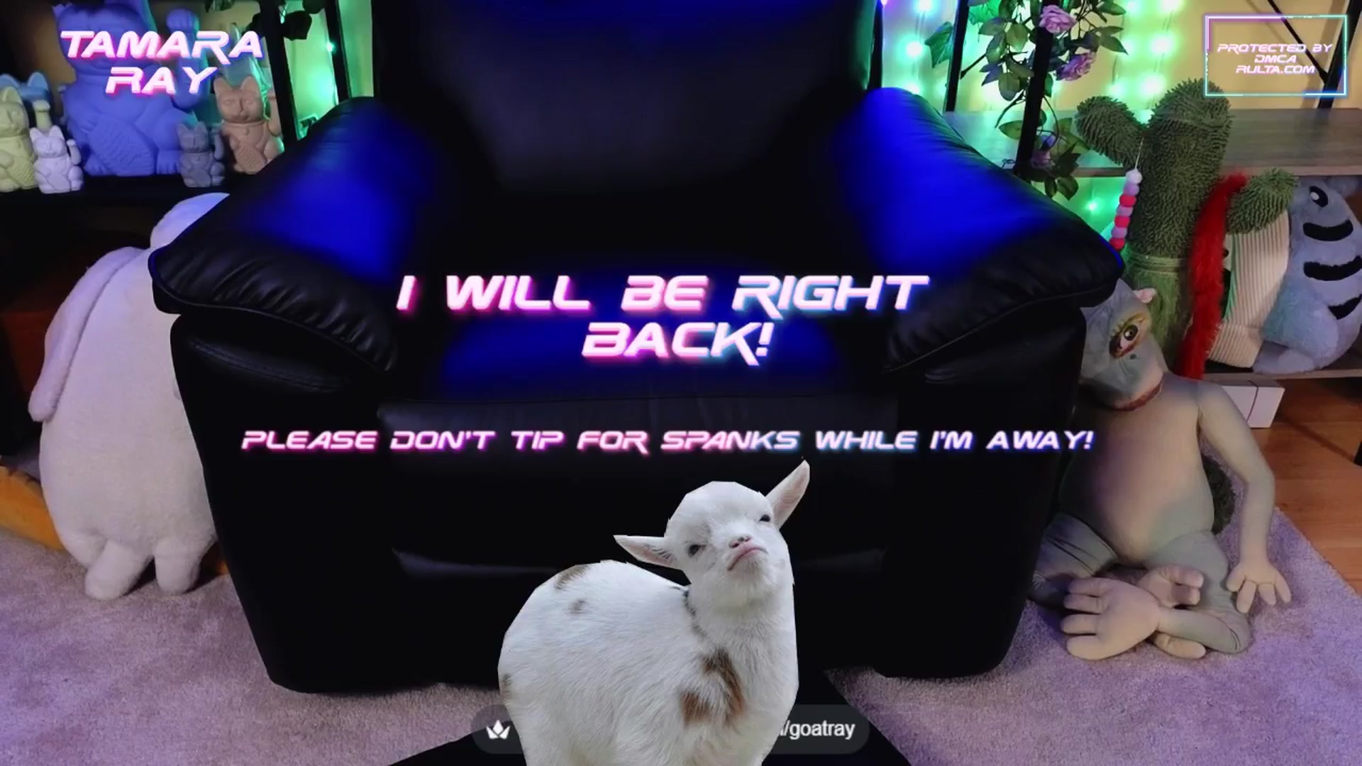Gallery image thumbnail from TamaraRay's myfreecams stream on, 08/29/2025, 05:46 image 10 of 20