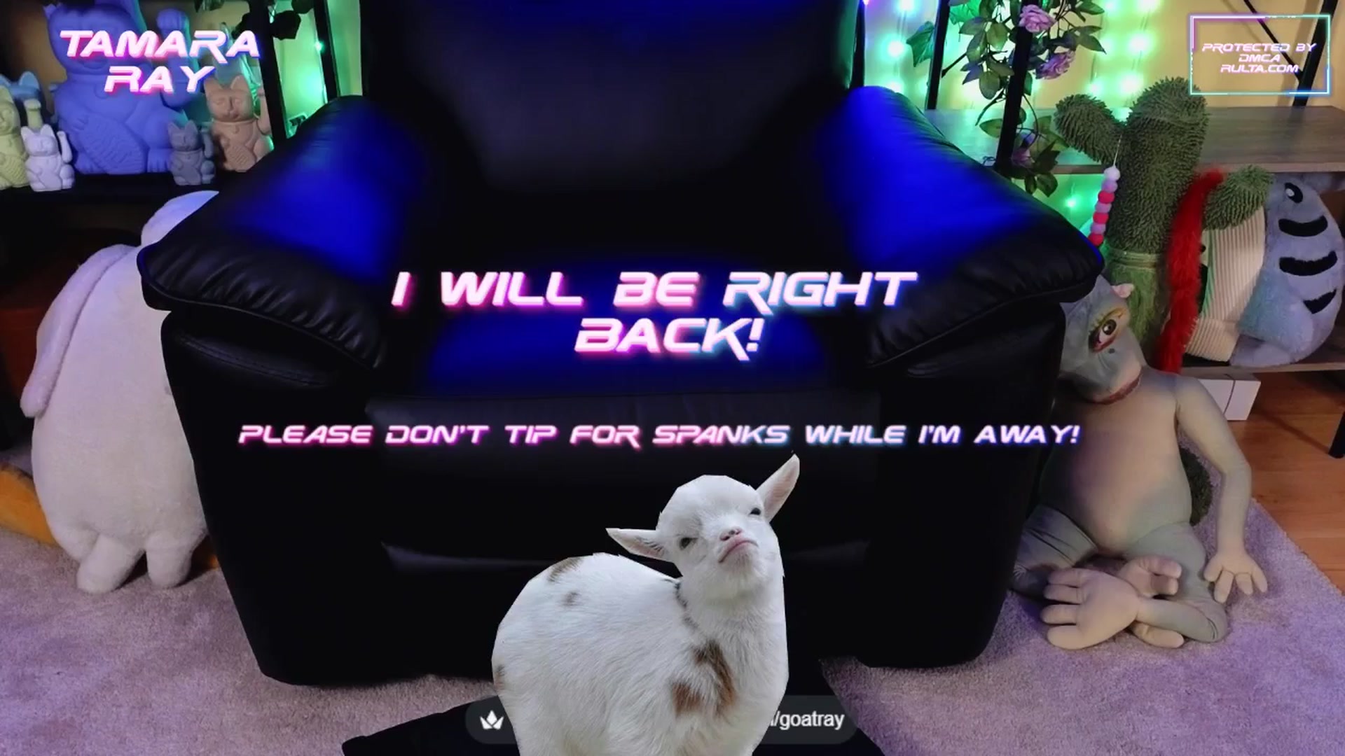 Gallery image thumbnail from TamaraRay's myfreecams stream on, 08/29/2025, 05:46 image 13 of 20