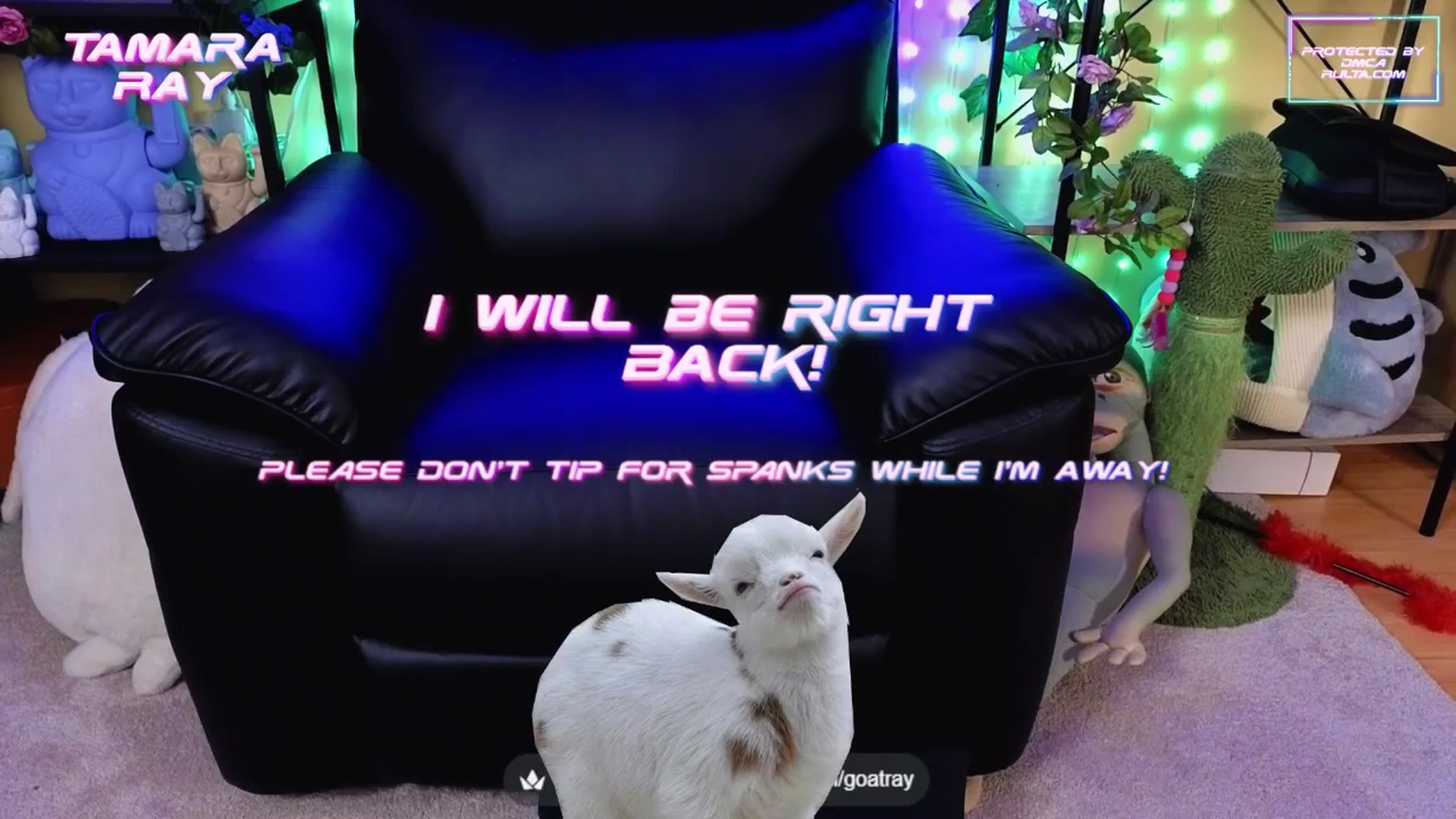 Gallery image thumbnail from TamaraRay's myfreecams stream on, 08/31/2025, 07:12 image 14 of 20
